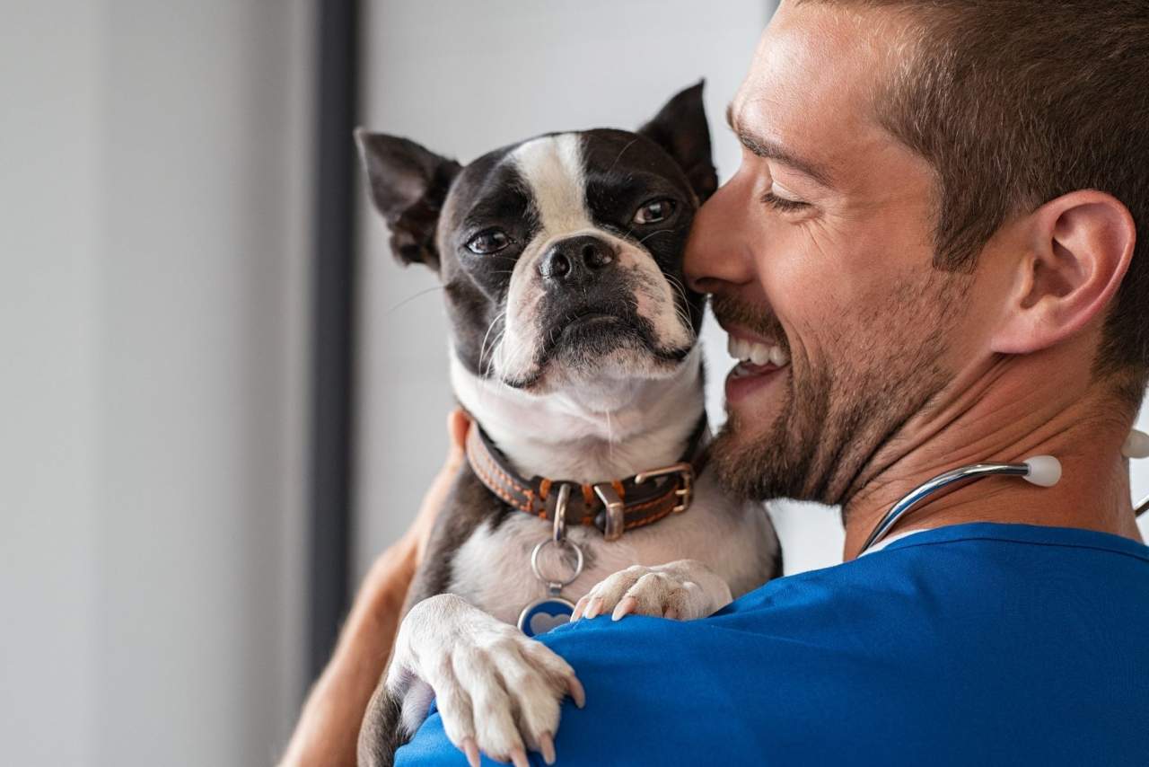 Clínica Veterinaria Algeciras, cuida a tu acompañante de vida: Clínica Veterinaria El Estrecho