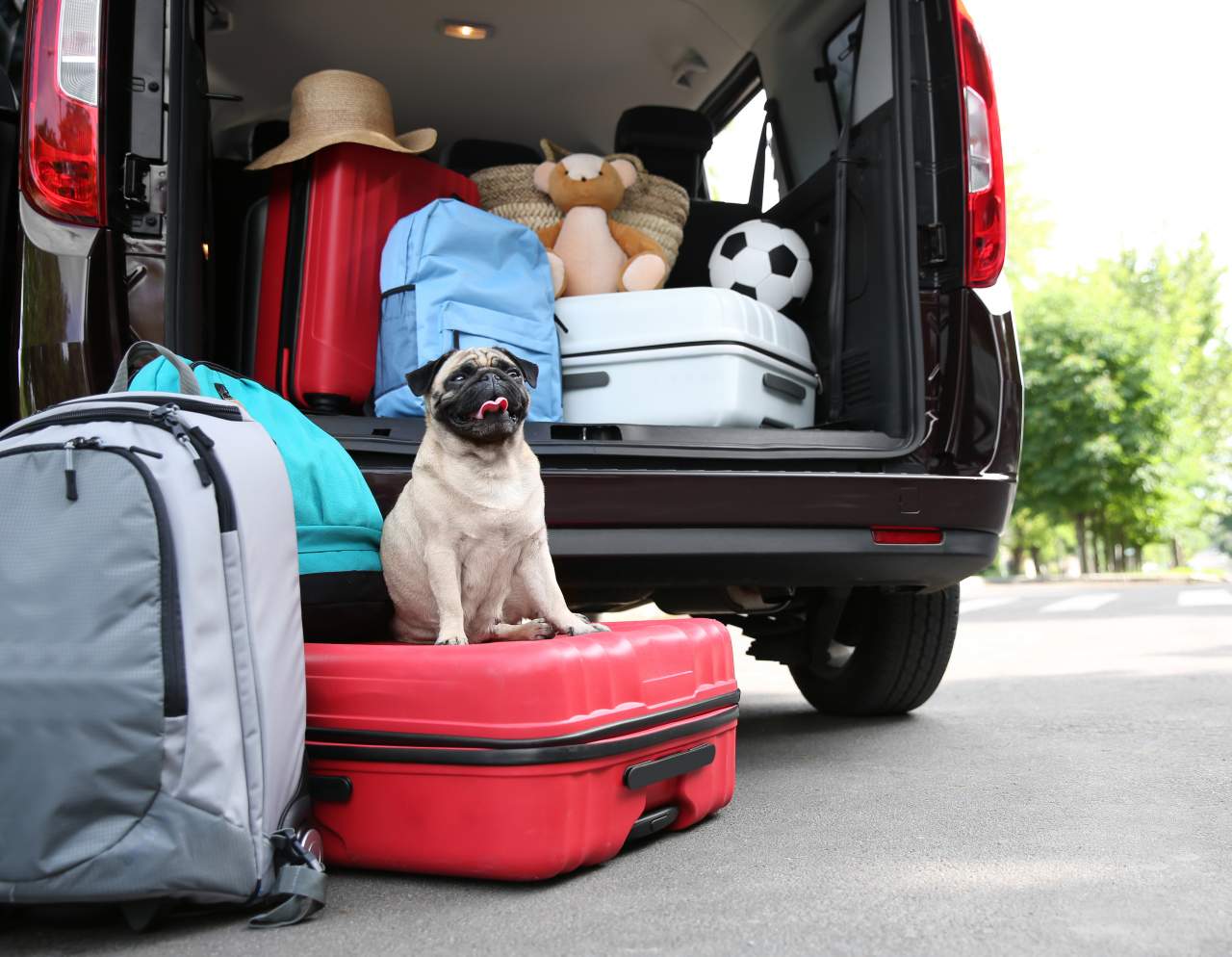 ¿Dónde encontrar protectores de maletero para el coche? Distribuciones Cantelar