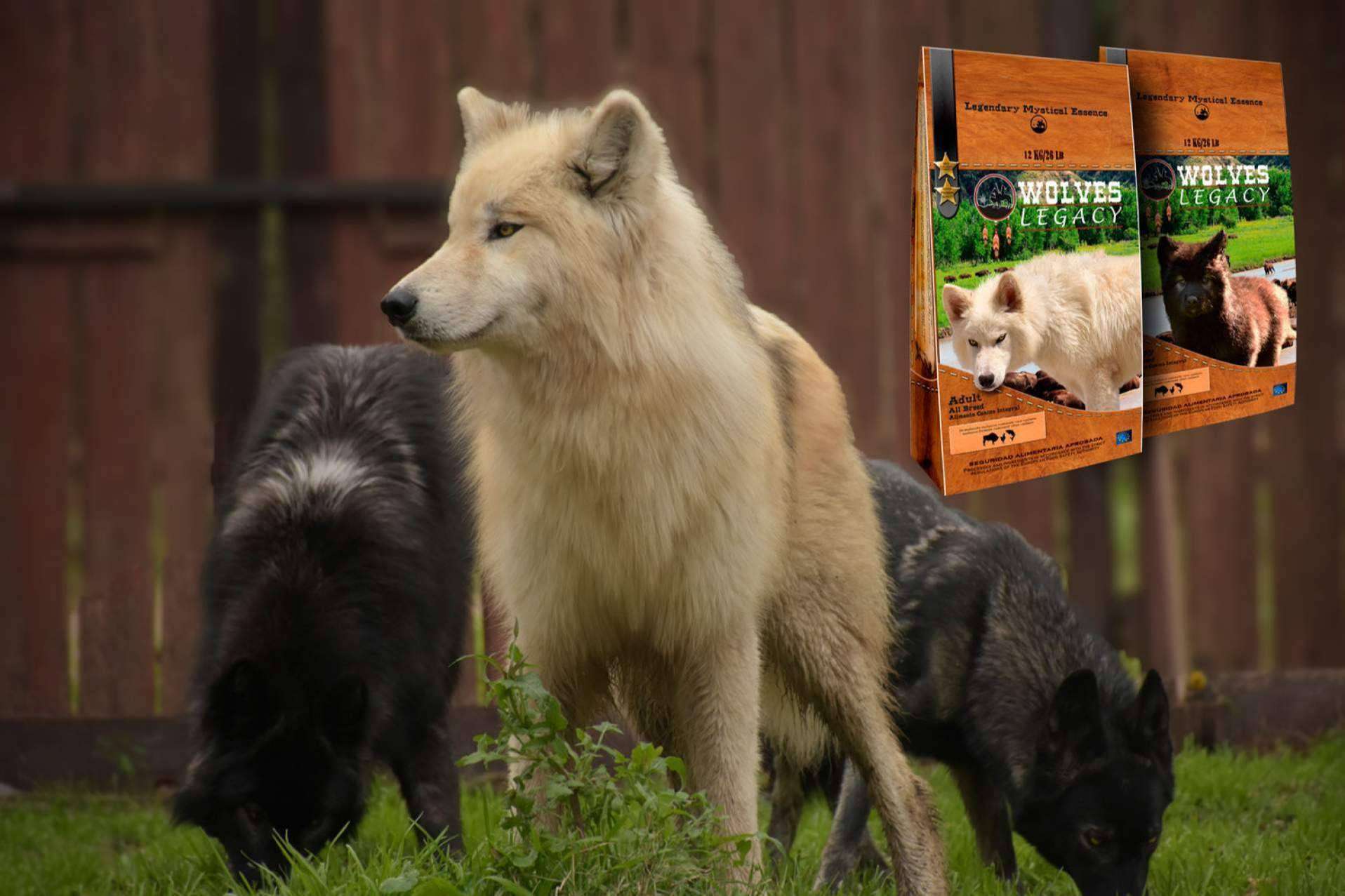 Lobos y perros lobos CRW: la manada de Wolves Legacy