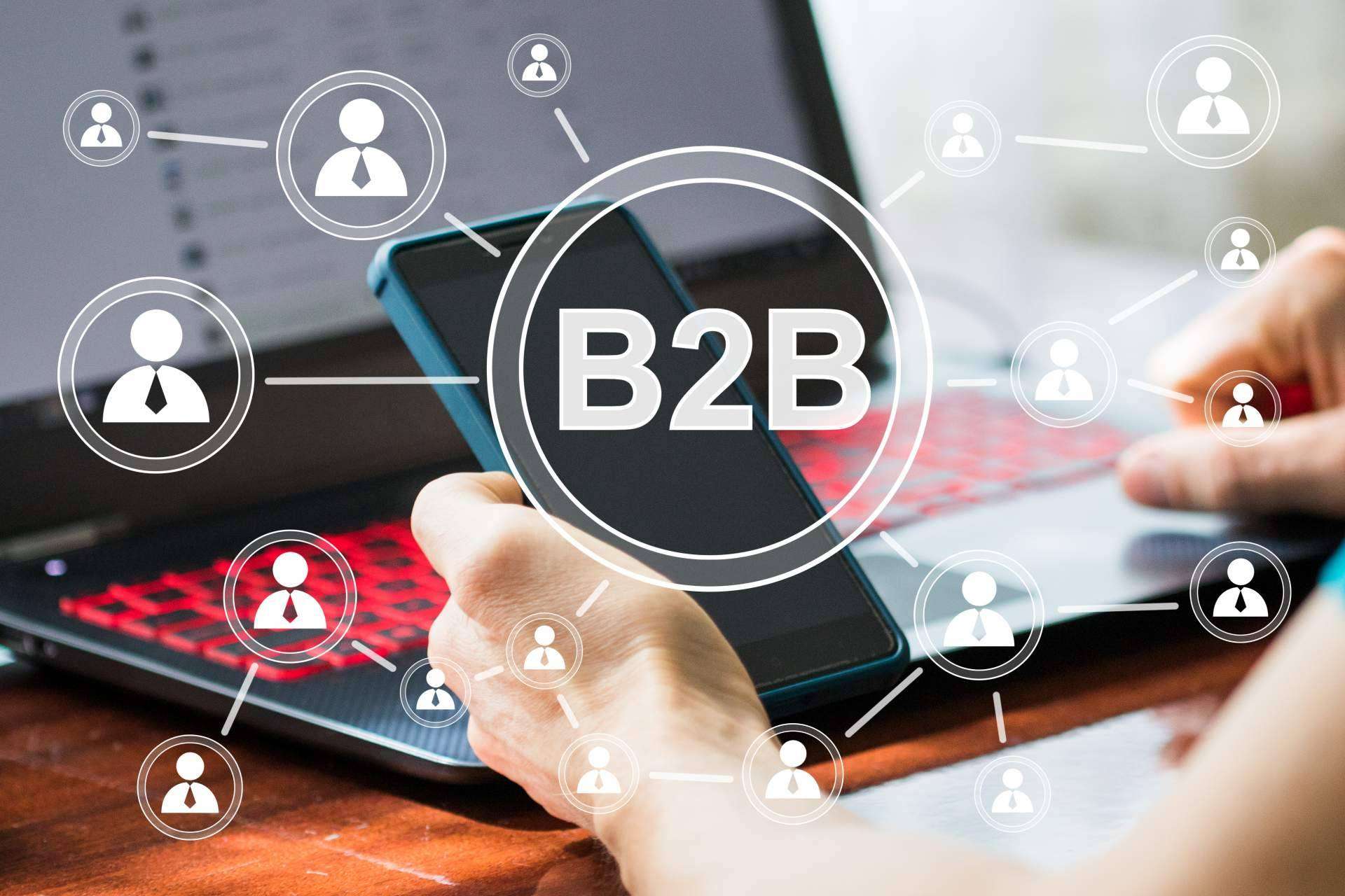 El comercio electrónico: soluciones informáticas para negocios B2B de Pentapps