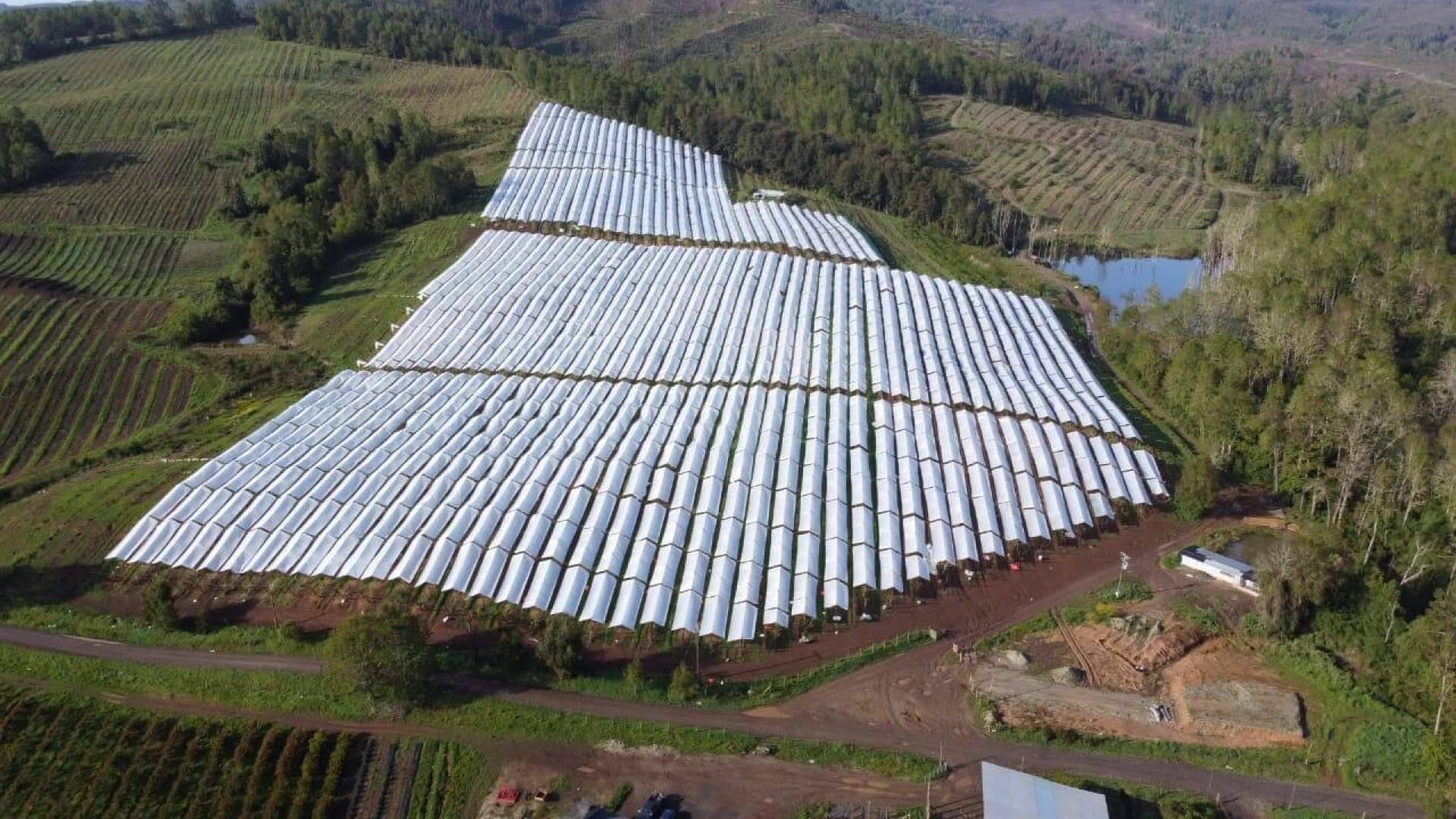 AGRICOVER, el gran paquete tecnológico de Agralia