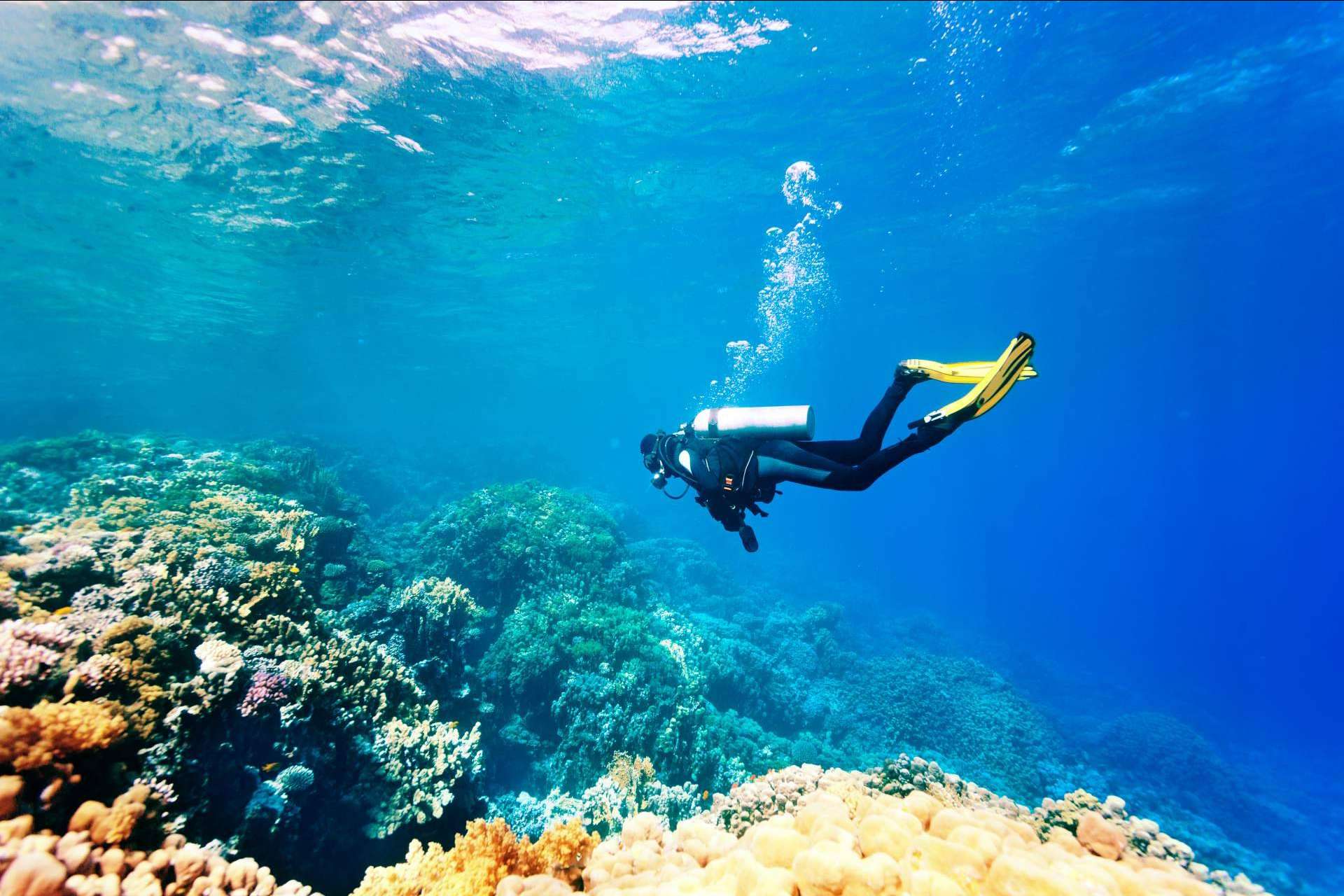 Cursos de gestión de estrés en el buceo con Gestión Emocional