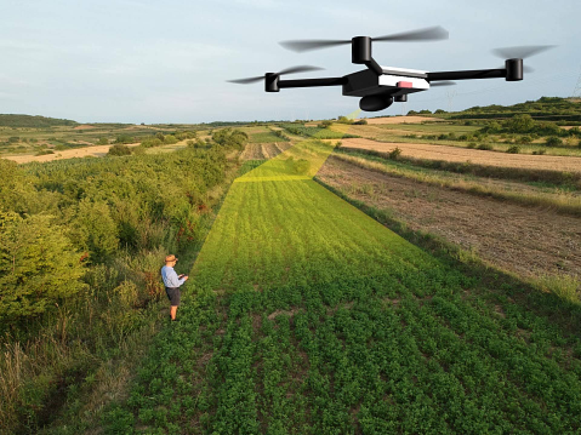 MORERA: proyecto pionero en monitorización de riego y rendimiento agrícola para beneficiar la industria agrícola española