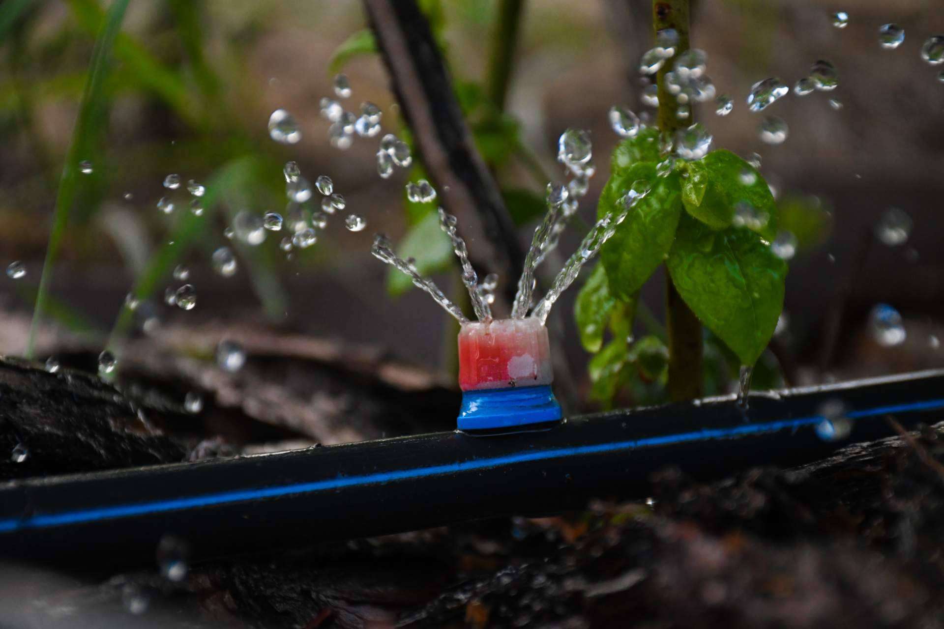 Nanoburbujas de oxígeno o de ozono para el agua de riego agrícola: Ozonotec Dual O2O3