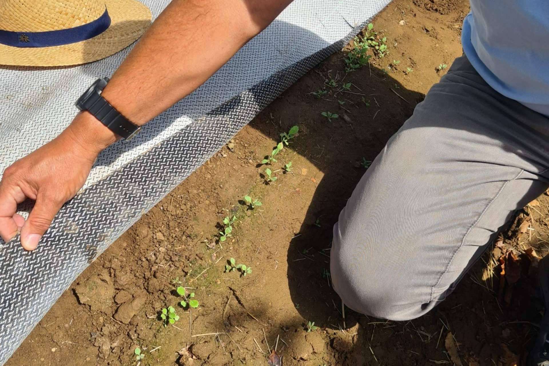 Los tejidos Agrisoil de la empresa Agralia permiten proteger los cultivos ante temporadas de sequía
