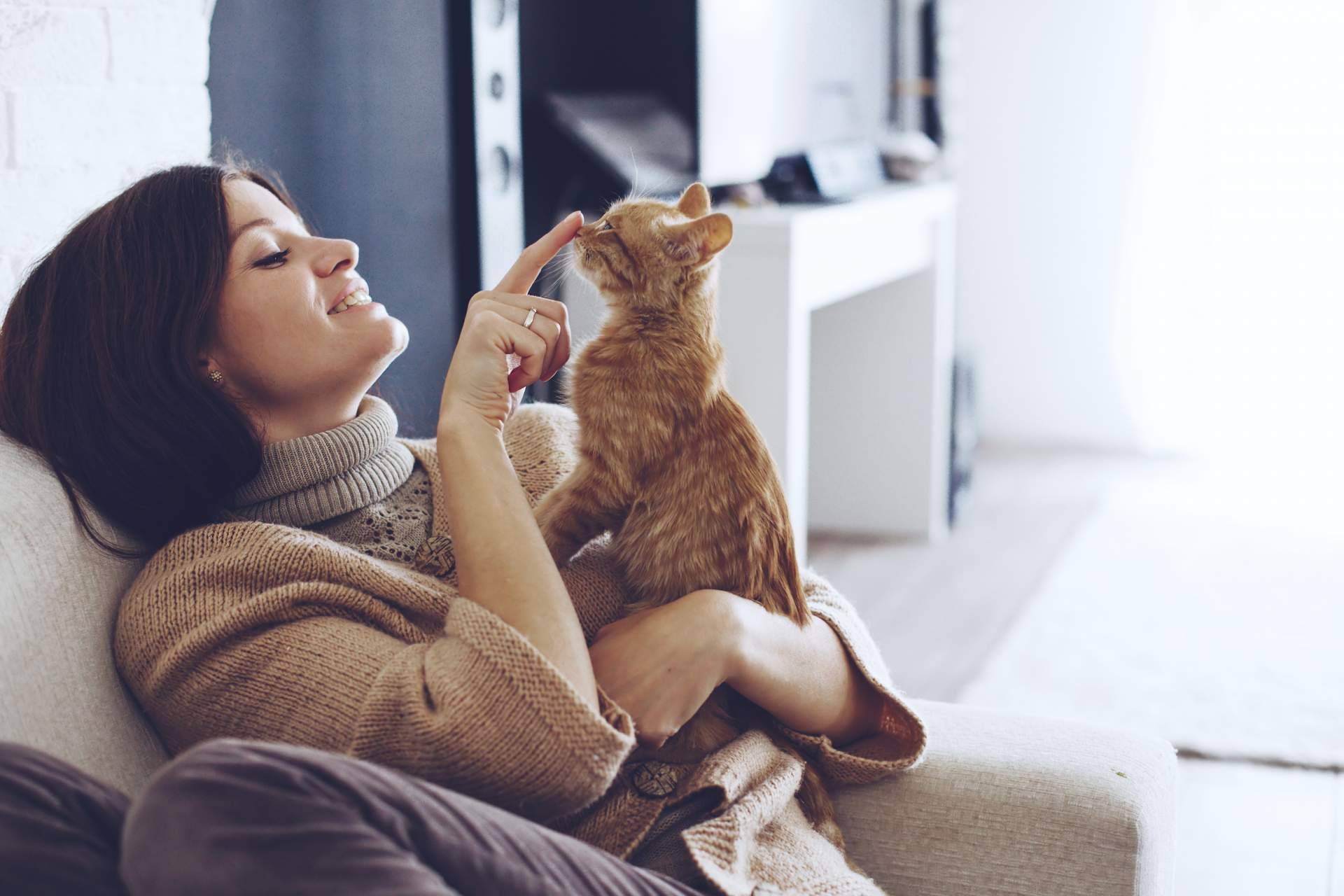 La antrozoología y etología del perro y del gato. Consejos para una buena convivencia con perros y gatos