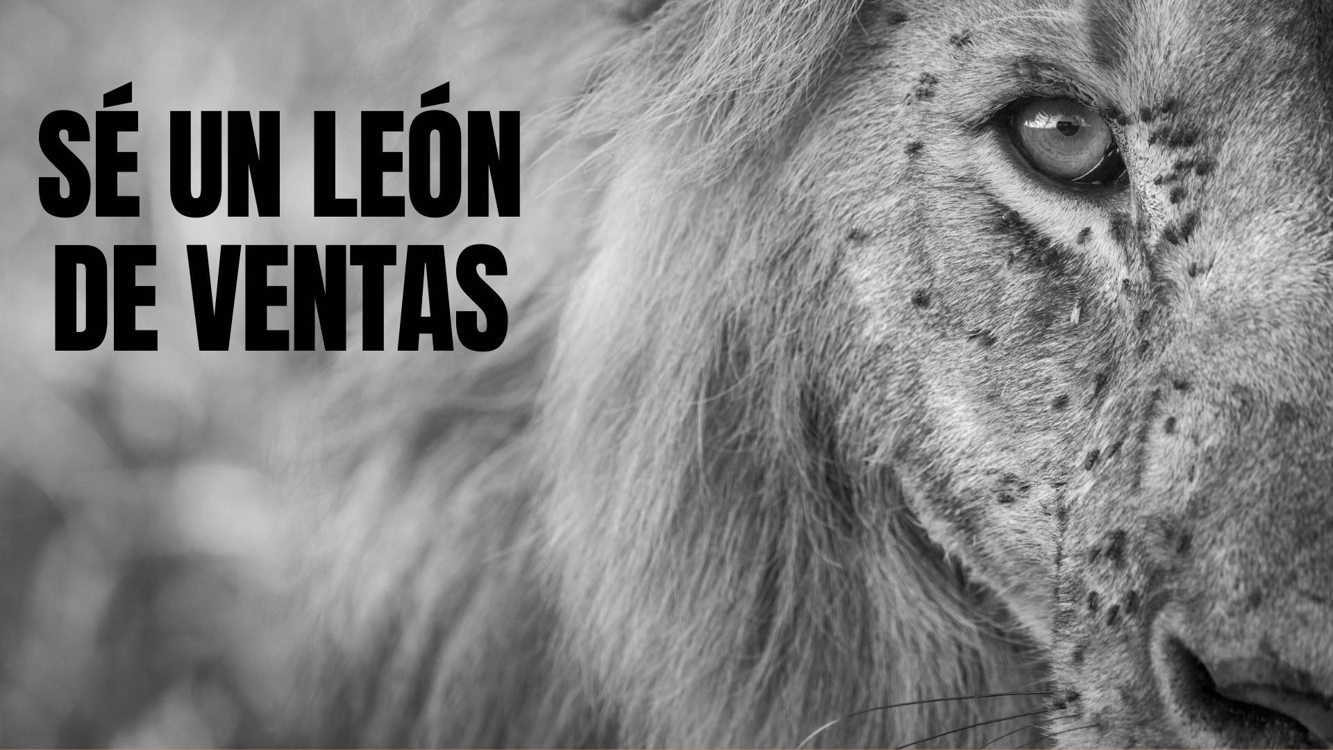 La estrategia de Javier Ramos en Sé un León de Ventas