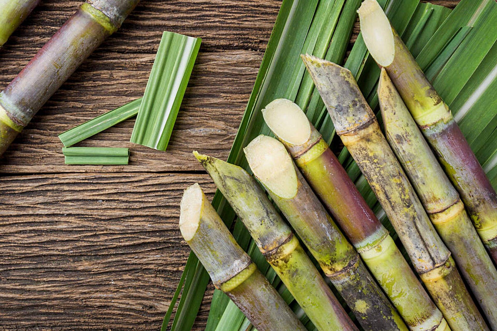 La revolución del packaging sostenible que fomenta el respeto hacia el medioambiente lleva el nombre de CAÑAPACK