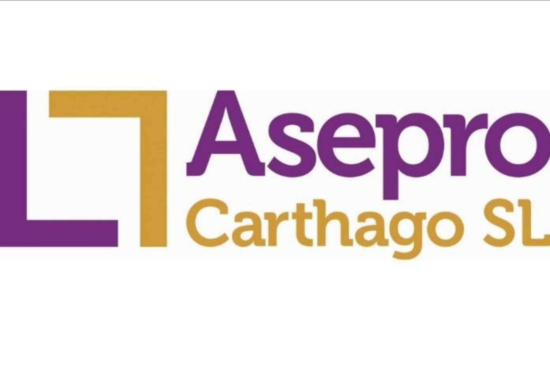 Asepro Carthago asesora sobre la fiscalidad de los negocios digitales en el caso de los creadores de contenido