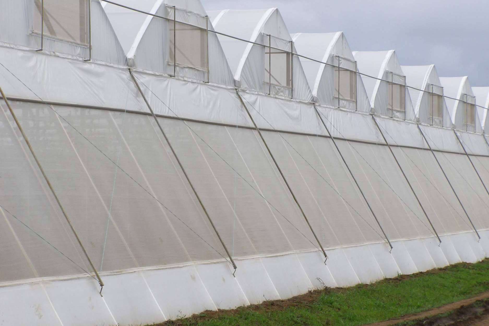 El nuevo paquete tecnológico de AGRALIA, AGRICOVER