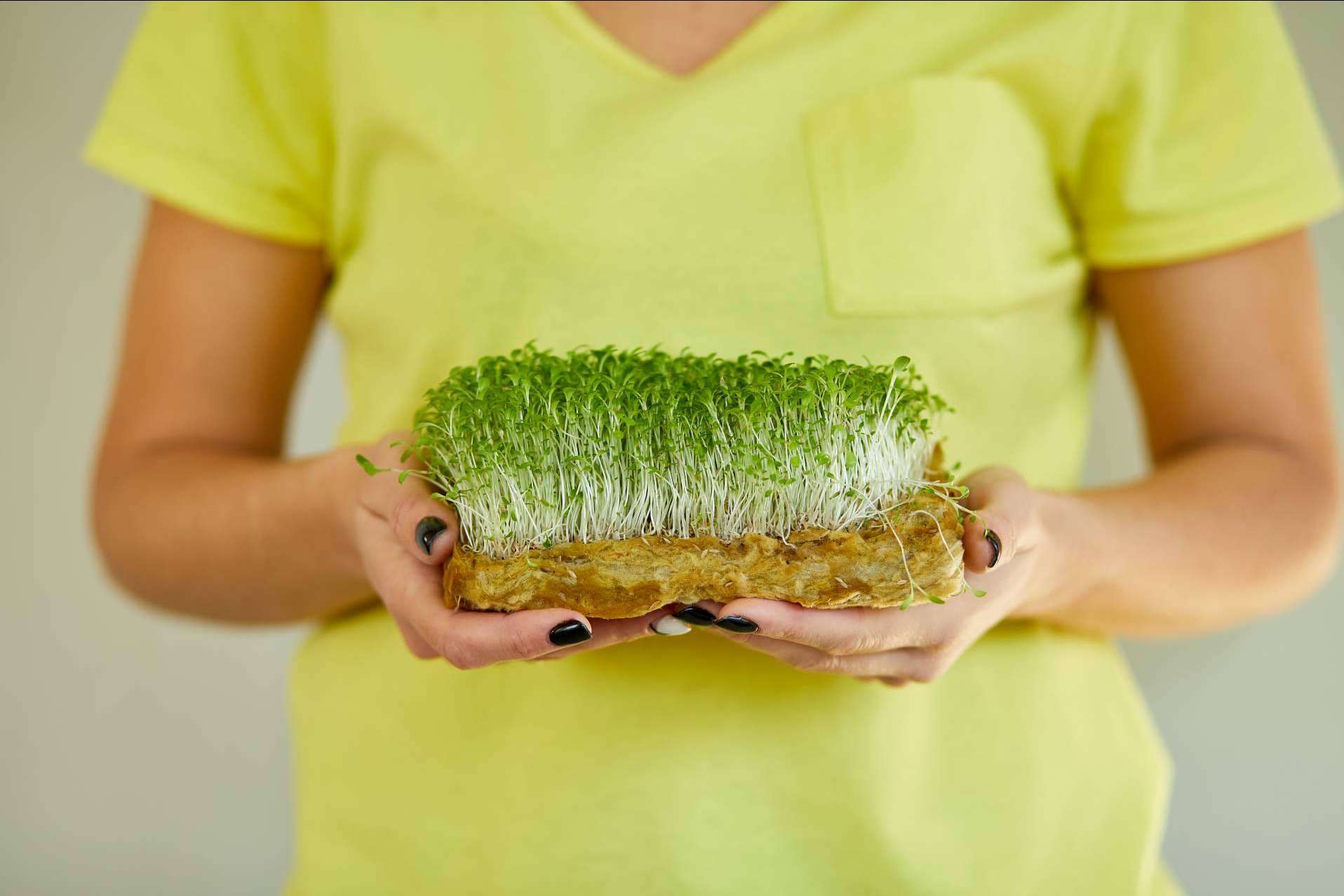Mediterranean Superfoods explica qué hace que a un alimento se le considere como un superalimento