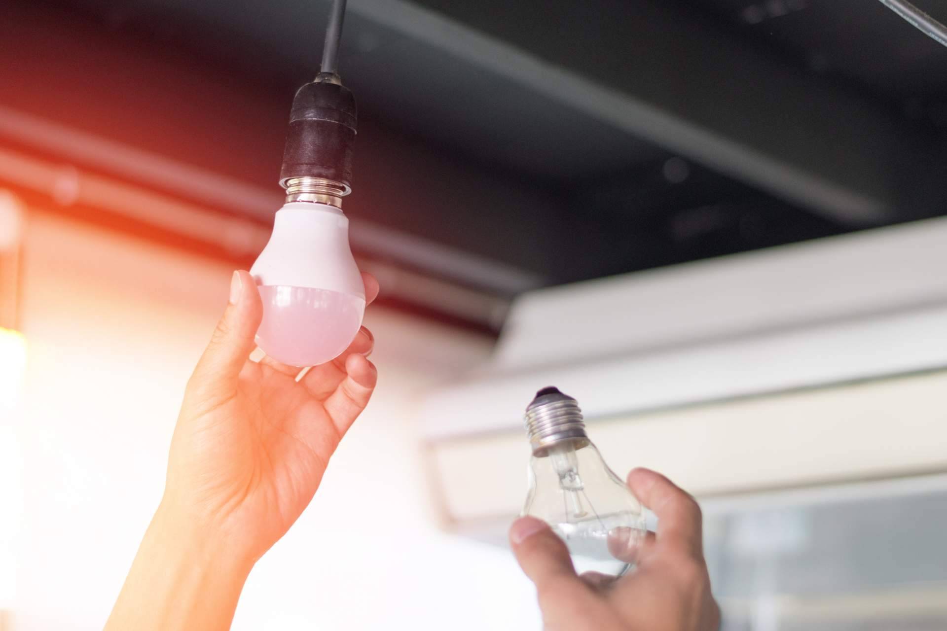 Suministros Tomás Beltrán destaca los beneficios de sus focos LED