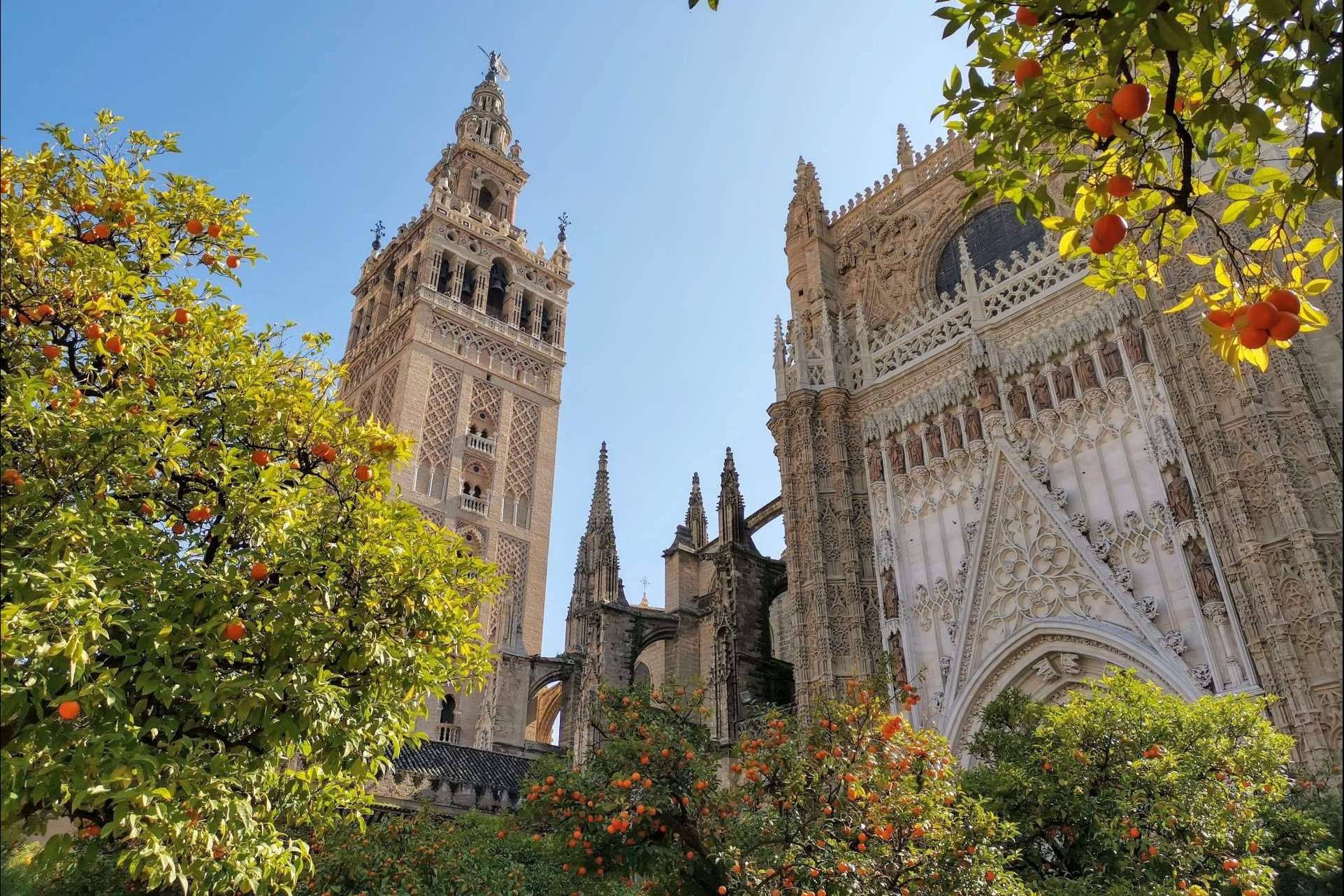 Las visitas guiadas en Sevilla con Tu guía de Sevilla