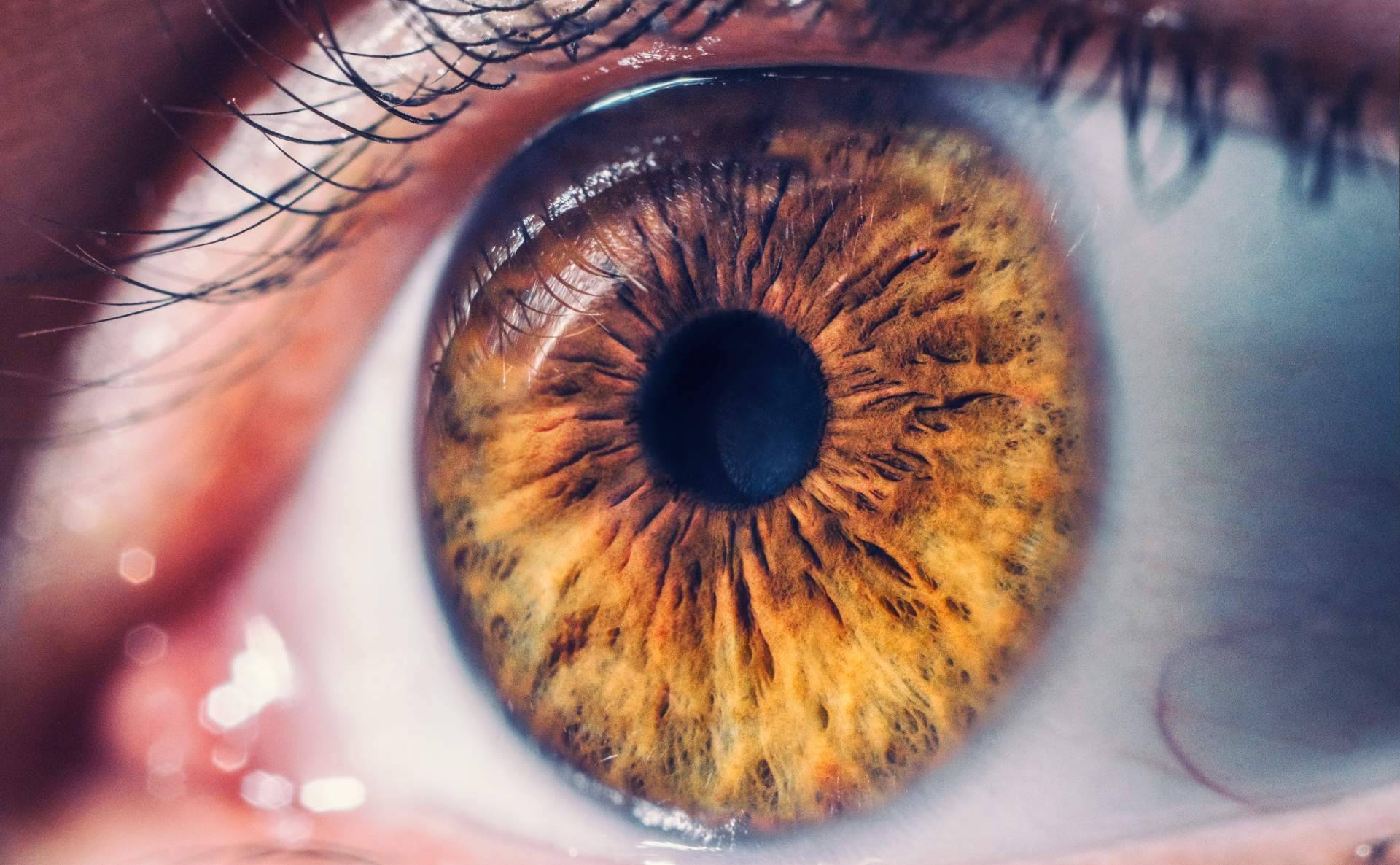 GX2 explica que la retinografía sirve para detectar enfermedades oculares
