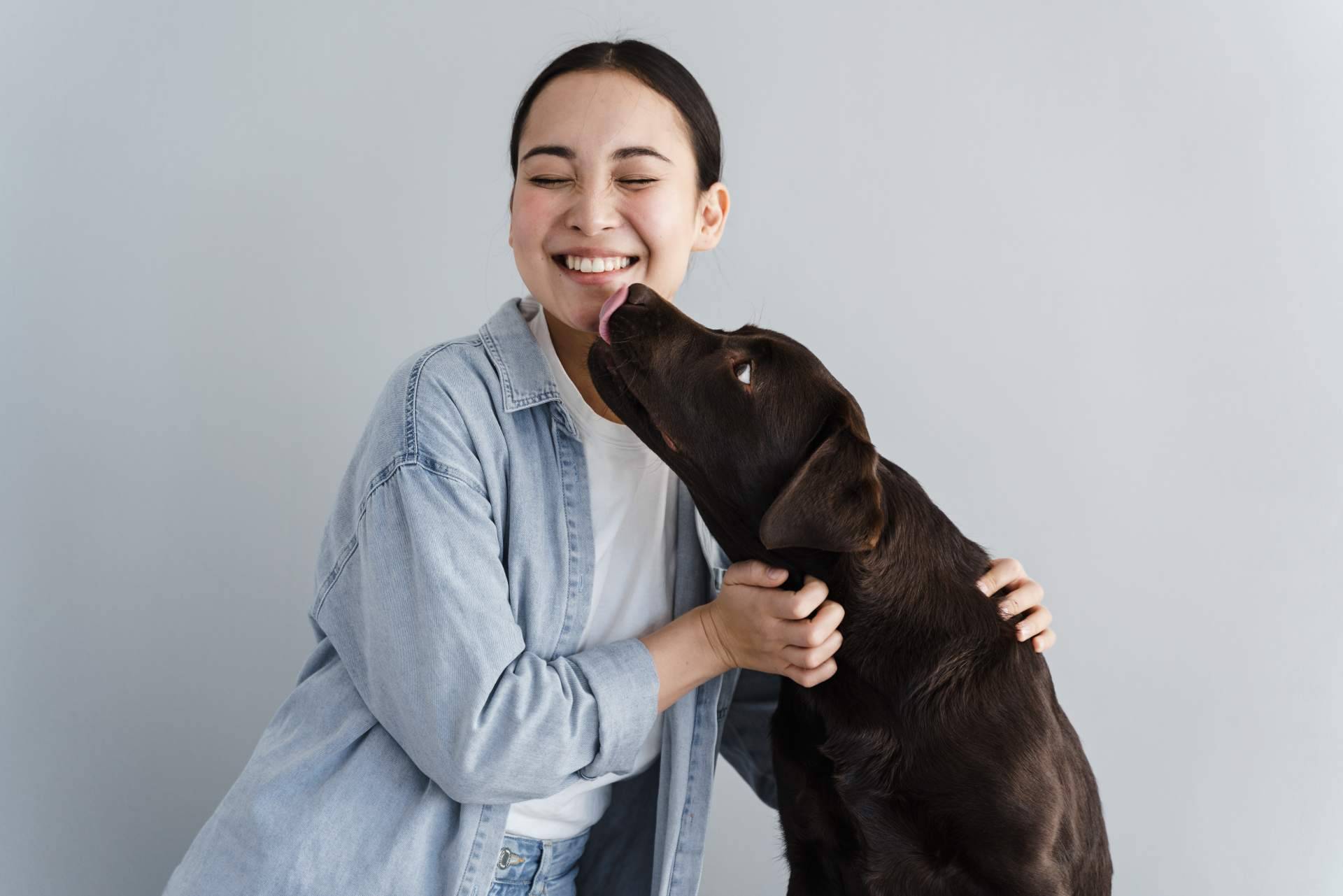 ¿Una mascota como regalo de Navidad?