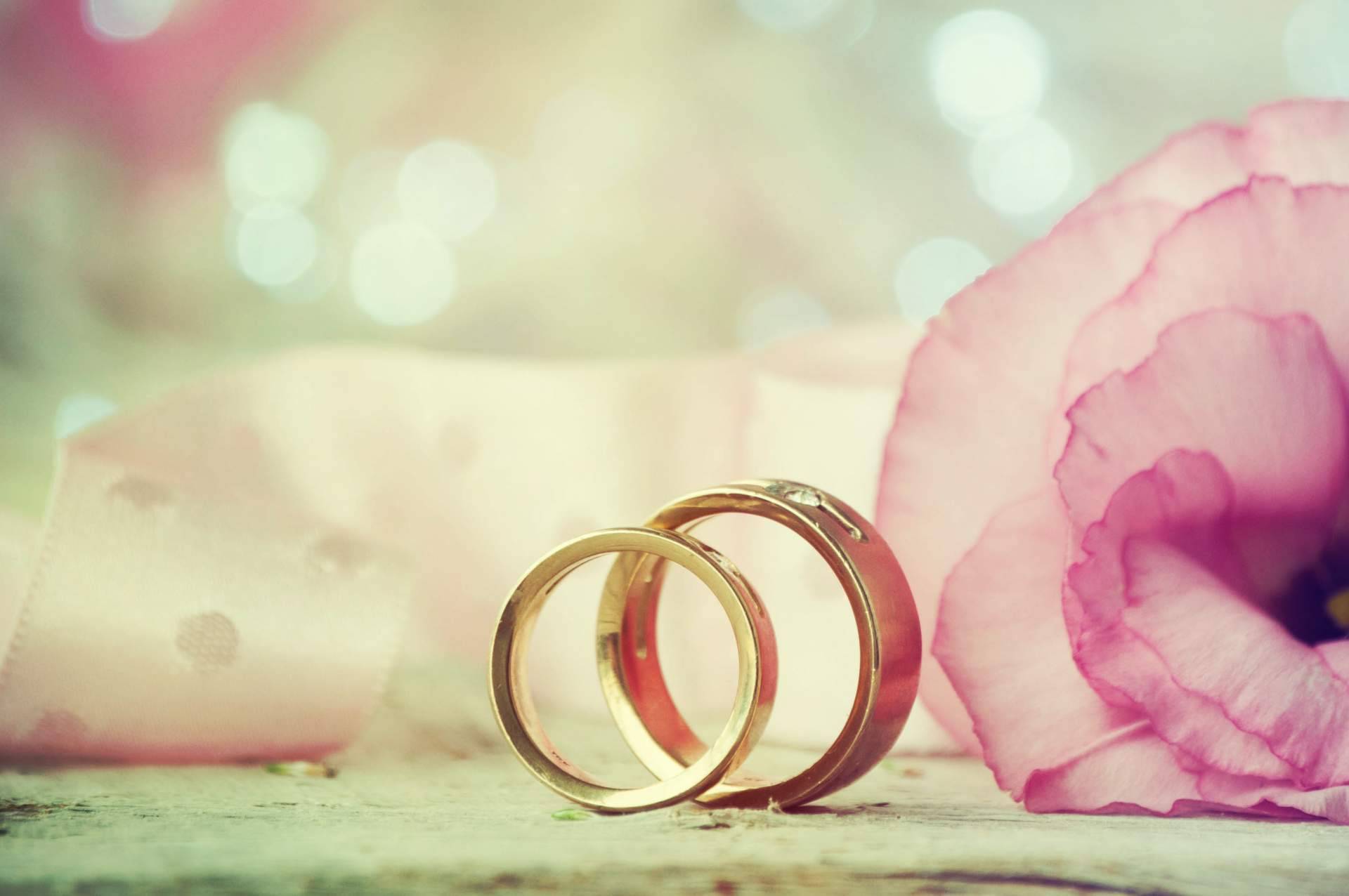Alianzas de oro, las joyas perfectas de El Rubí Joyeros para el día del “Sí, quiero”