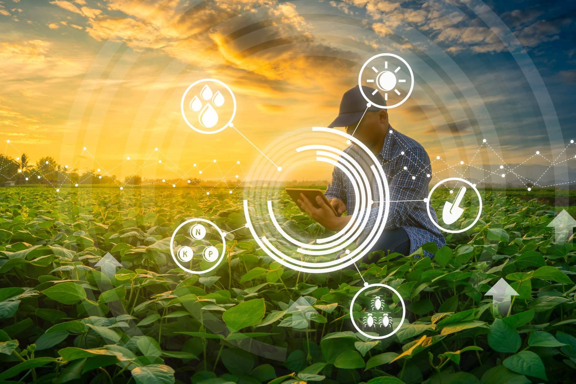 La internet de las cosas ofrece una agricultura inteligente