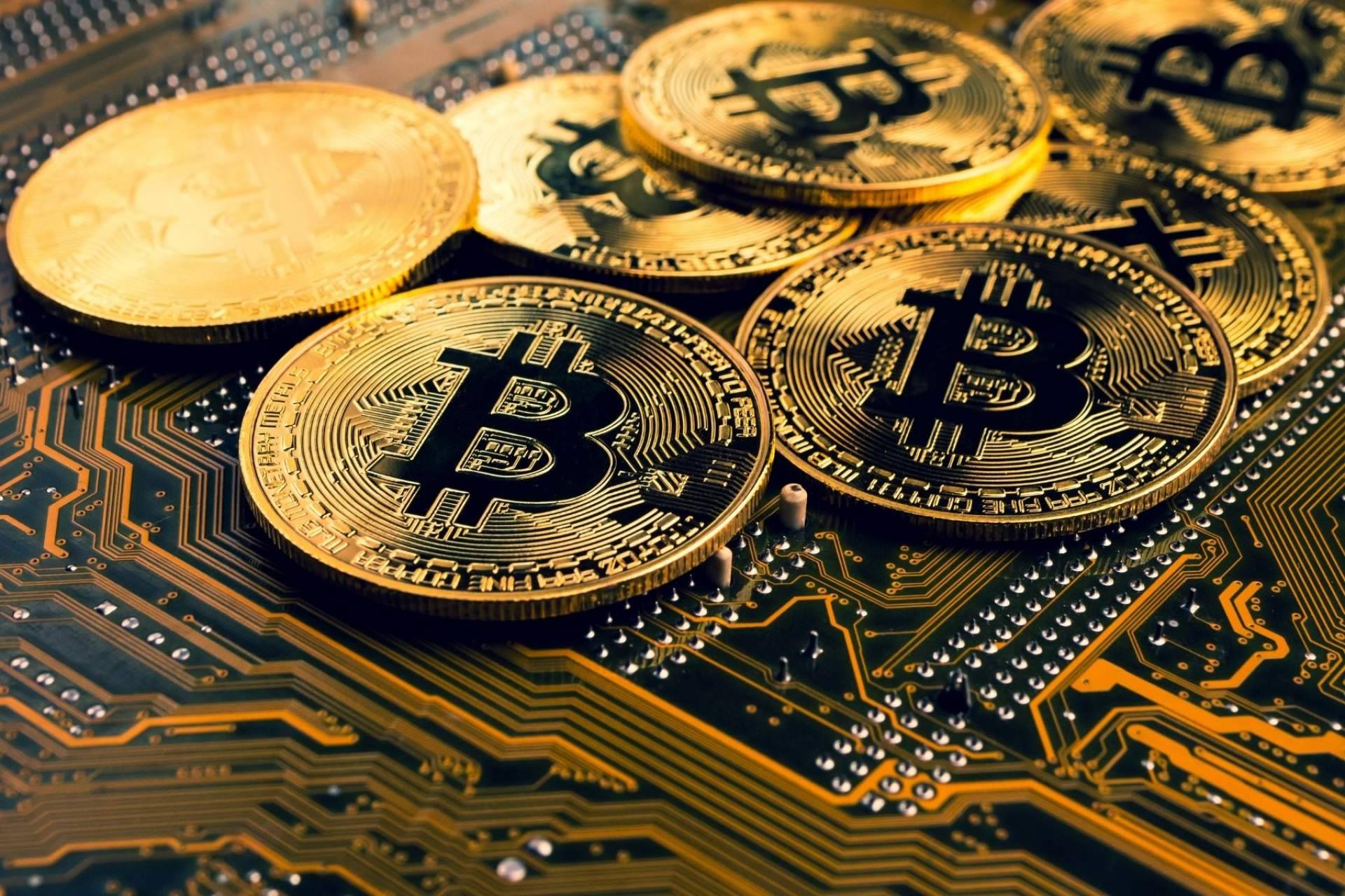 Uno de los mejores cursos de trading con bitcoin y criptomonedas de la mano de CryptoSharks