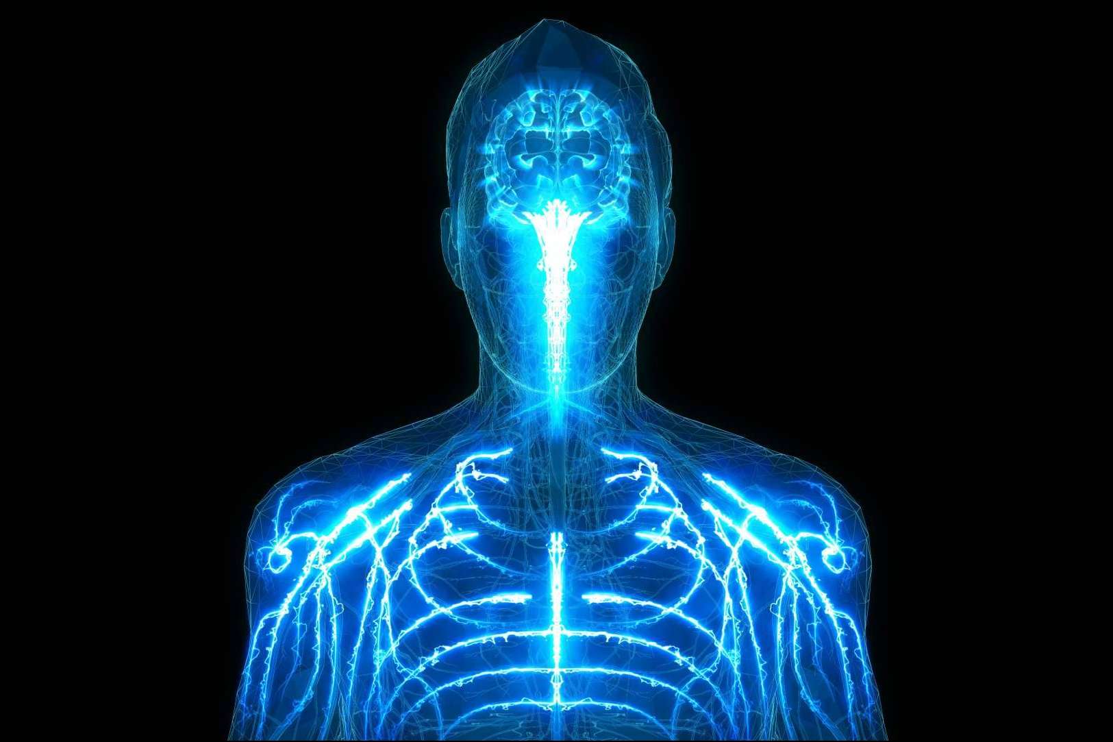 La relevancia de conocer todas las partes del cuerpo humano gracias a atlasdeanatomía.com