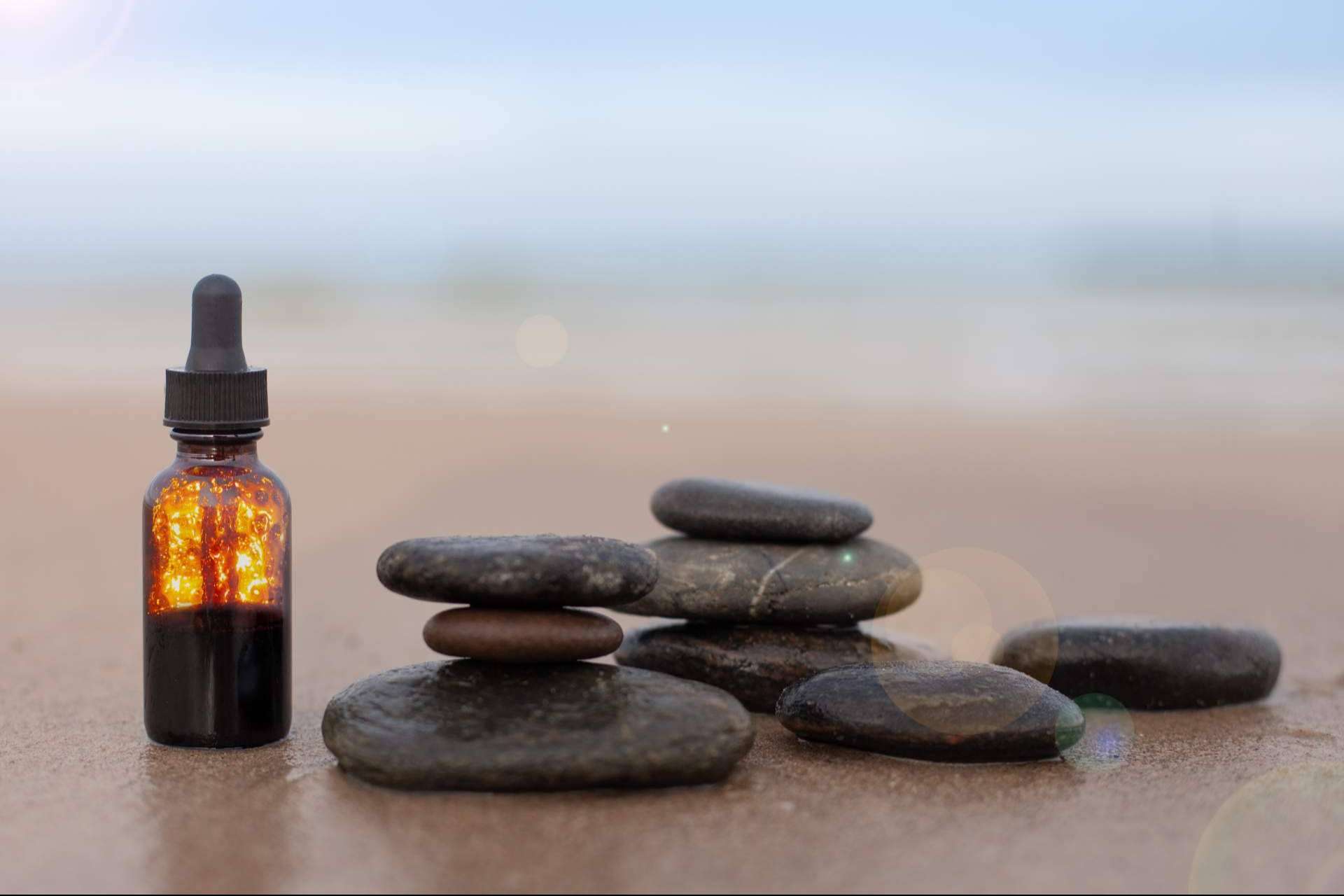 Fitoterapia, un elemento básico de la naturoterapia