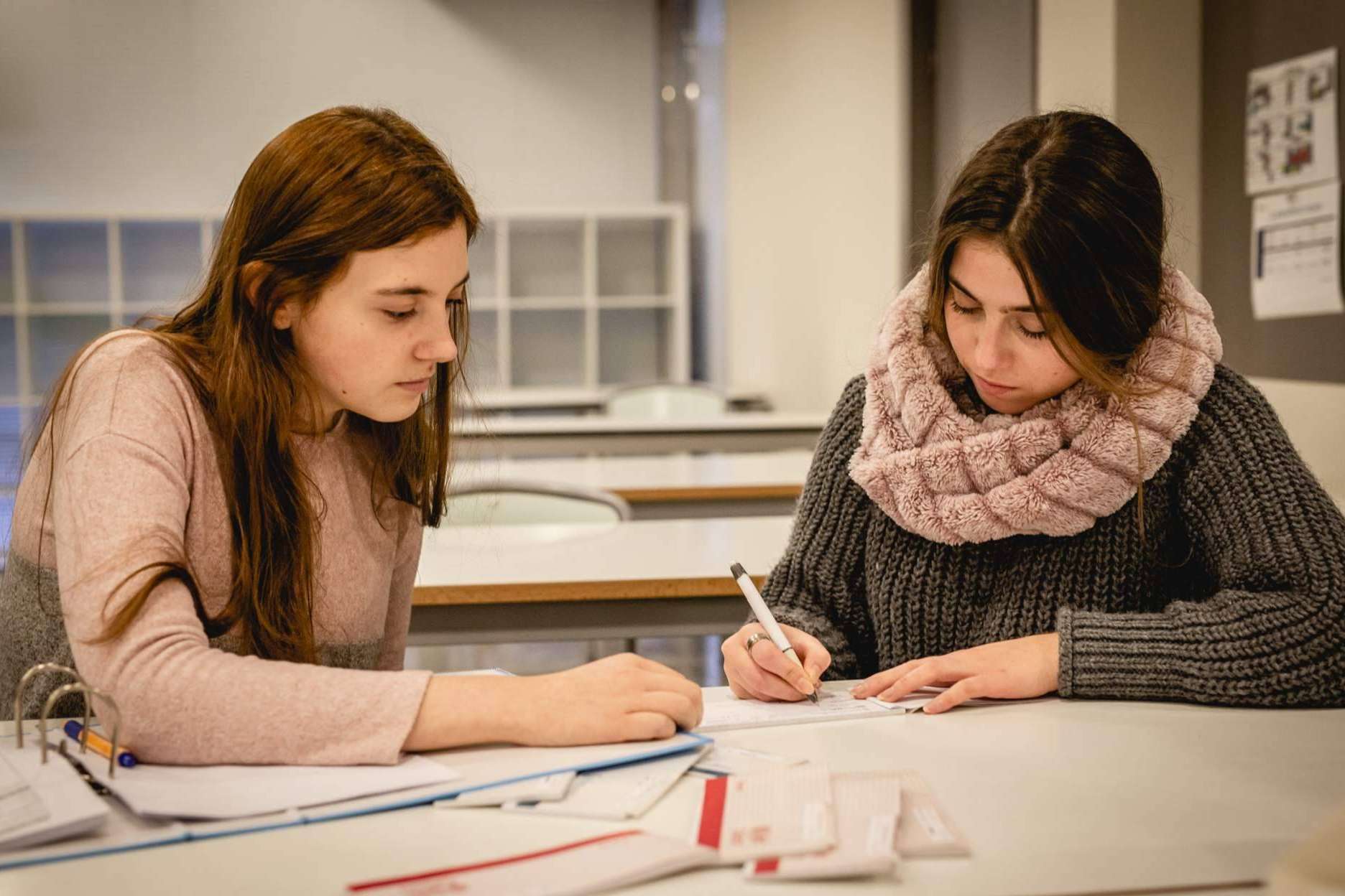 Una verdadera salida profesional, los ciclos formativos de Pàlcam