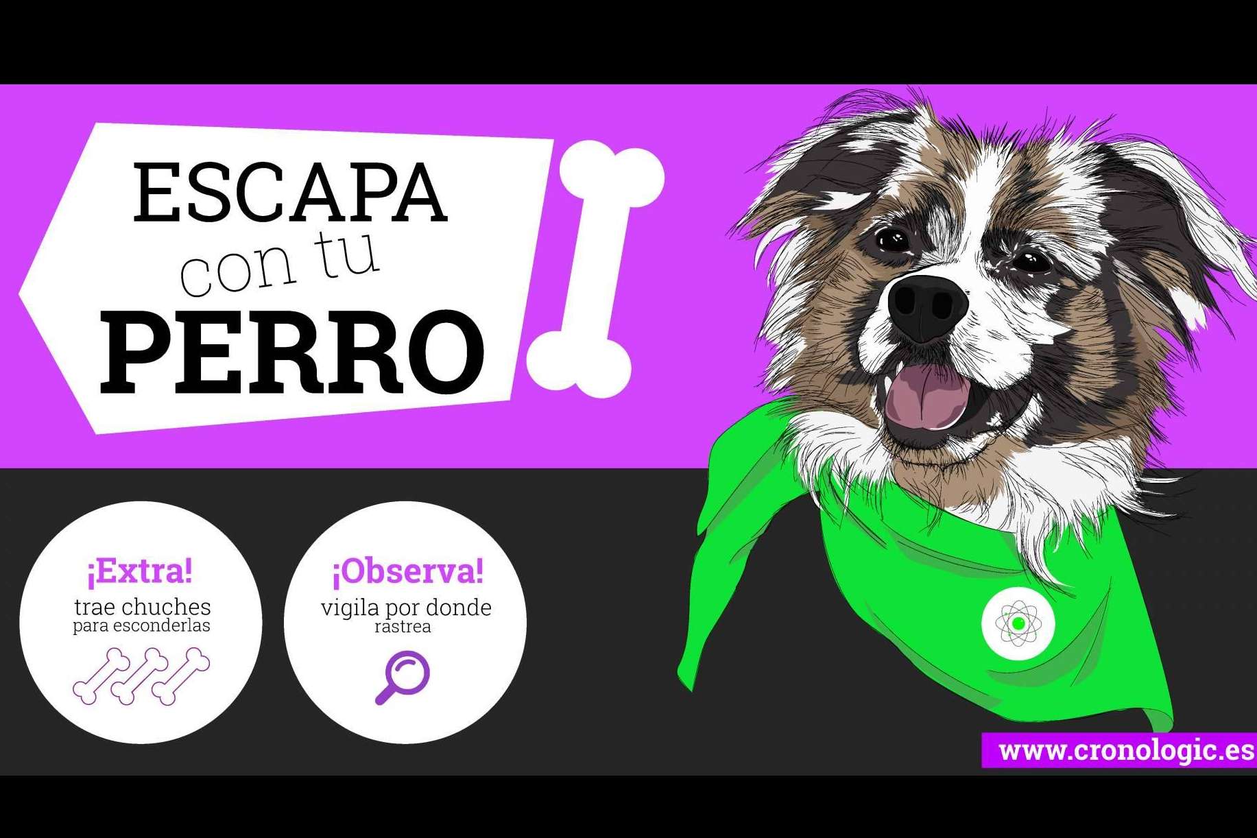 El escape room dogfriendly en Barcelona para disfrutar con perros es Cronologic