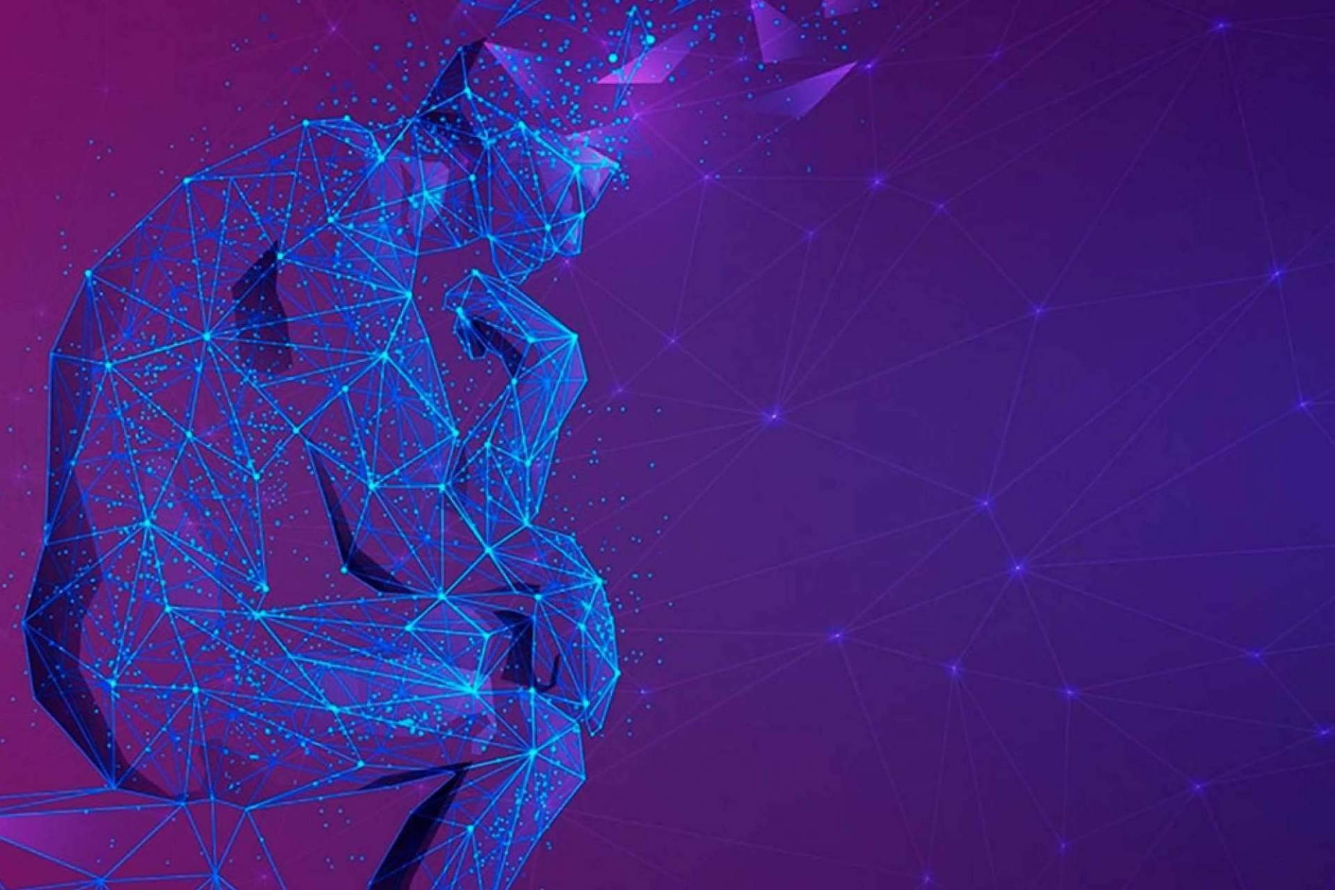 Instituto Psicobiológico, descubrir el plan de formación de inteligencia emocional desde el estudio científico de la Psicología, la Neurociencia y la Salud