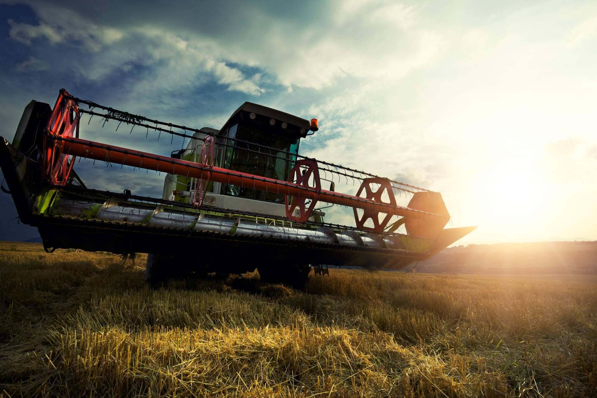 Gestión de cultivos de alto valor como el olivo con las soluciones agrícolas y asesoramiento técnico de Agbar Agriculture