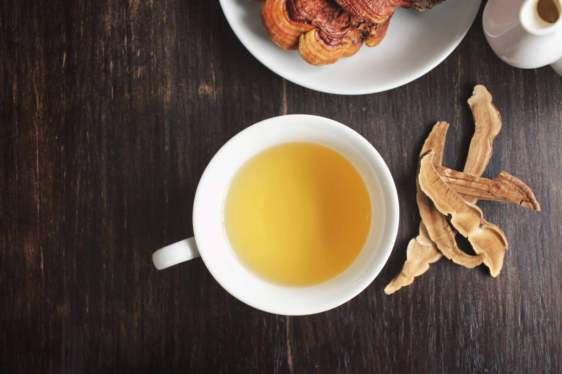 El hongo Reishi, un aliado alternativo para mejorar la salud y el bienestar