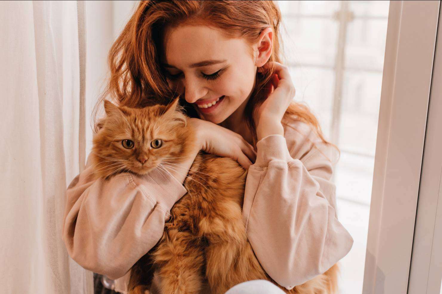 Pets4Good es la nueva tienda de mascotas solidaria online
