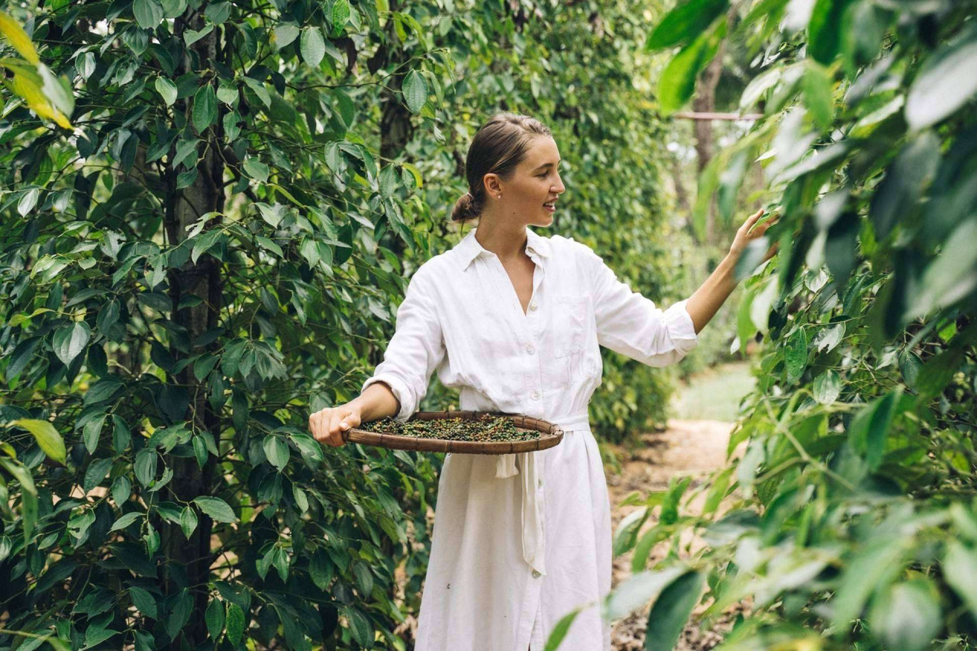 Para aprender todo sobre las plantas medicinales y sus usos se puede optar por la formación en fitoterapia