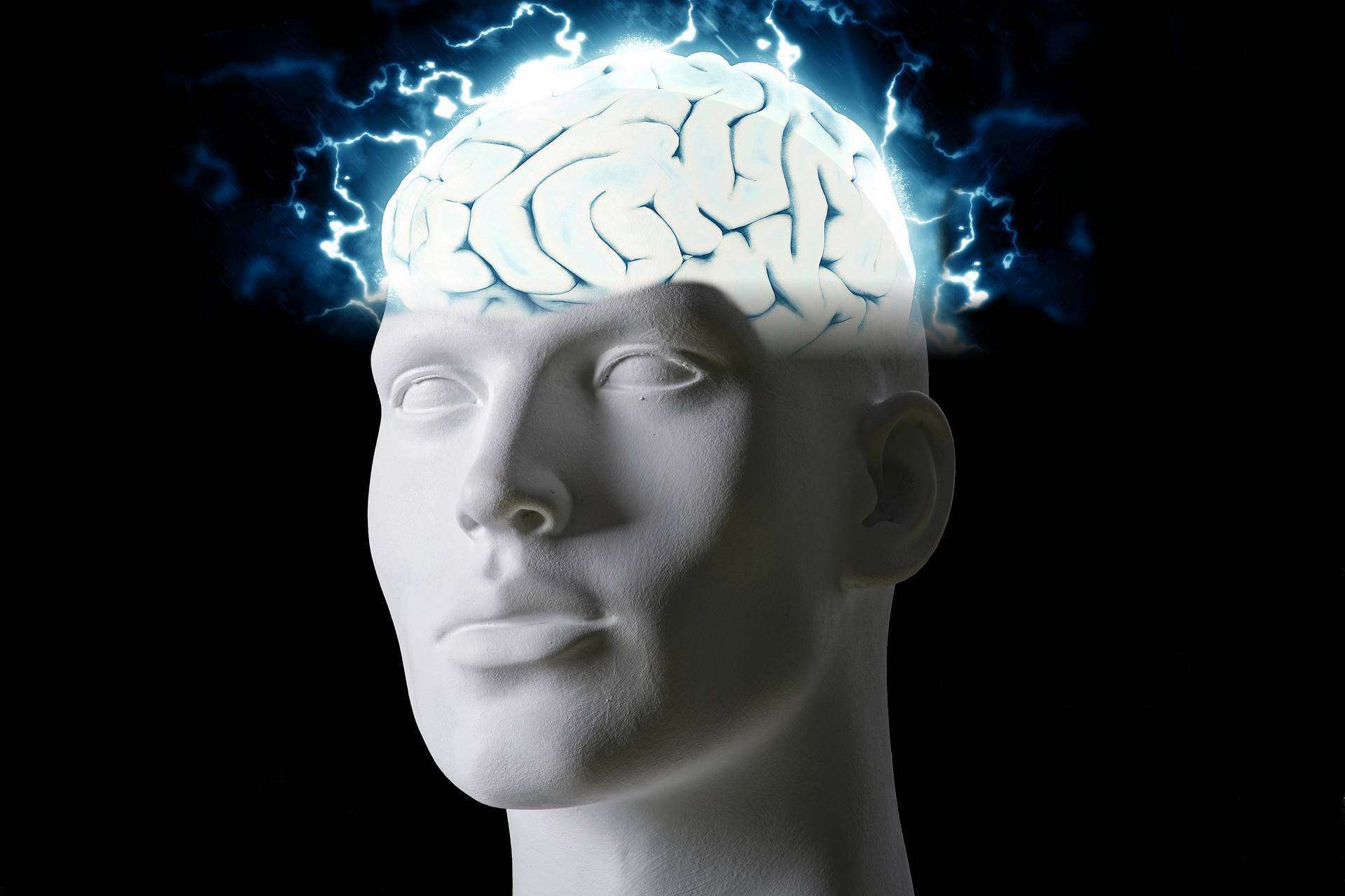 ¿Qué ofrece Mind Galaxy?, la nueva plataforma de cursos sobre la mente