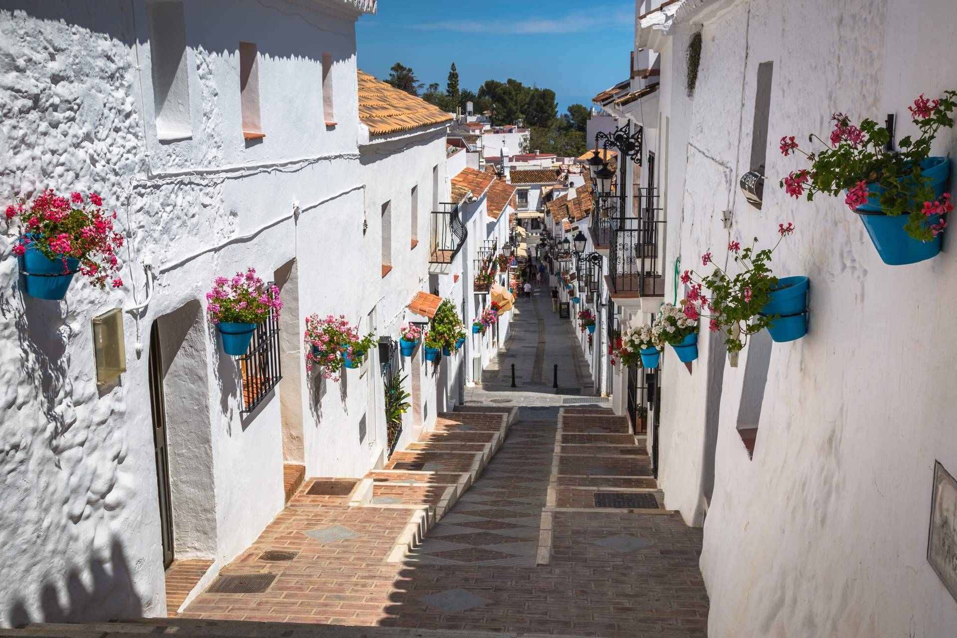 Profesionales vanguardistas en el negocio inmobiliario de la Costa del Sol, de la mano de Noray Walkers