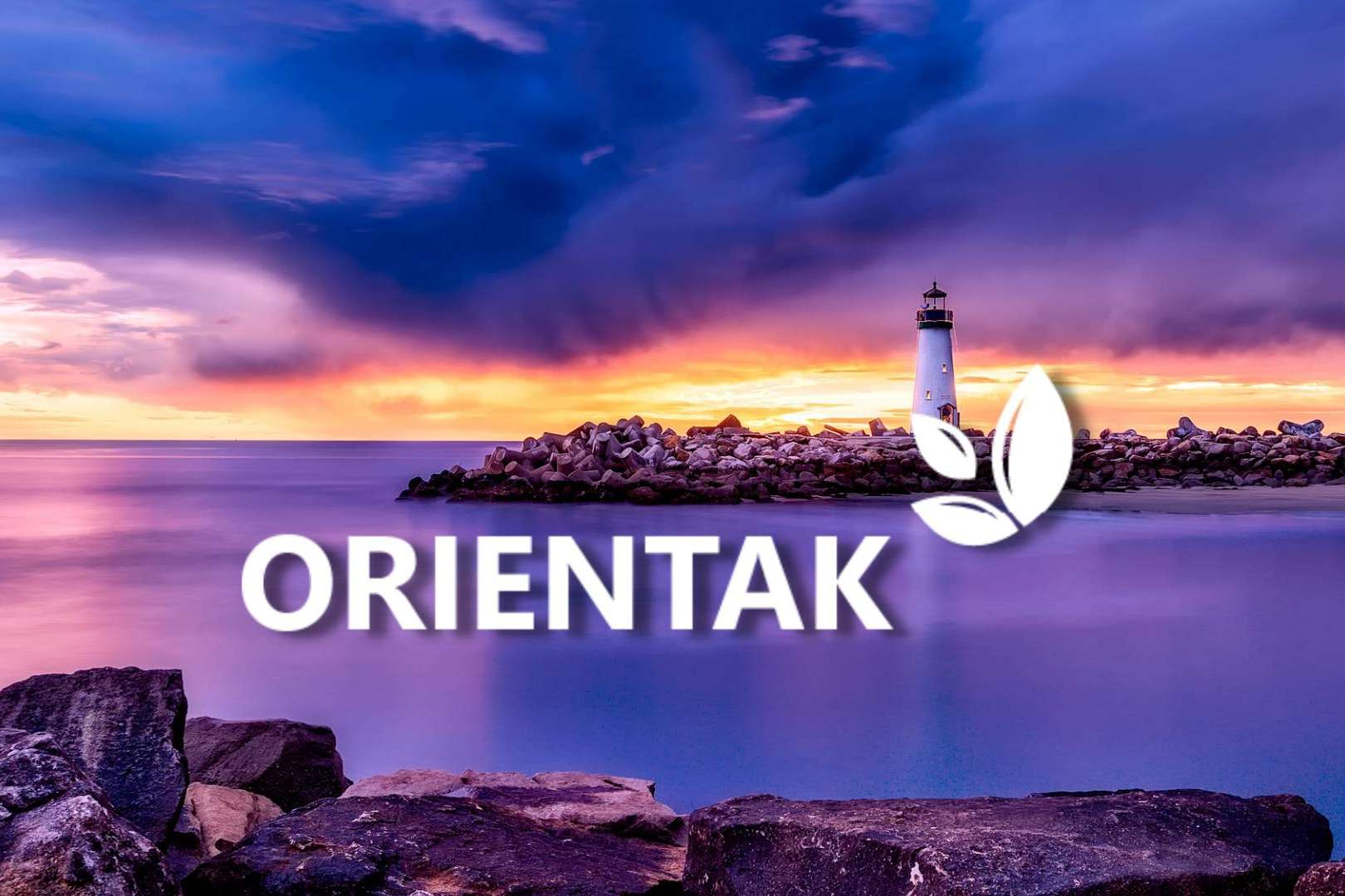 Los servicios del hospital de día Orientak