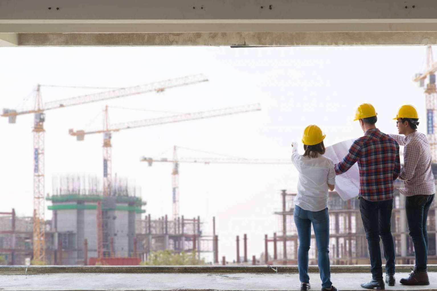 ¿Por qué es importante la base de datos de inmobiliarias?, el servicio de BancoDatos