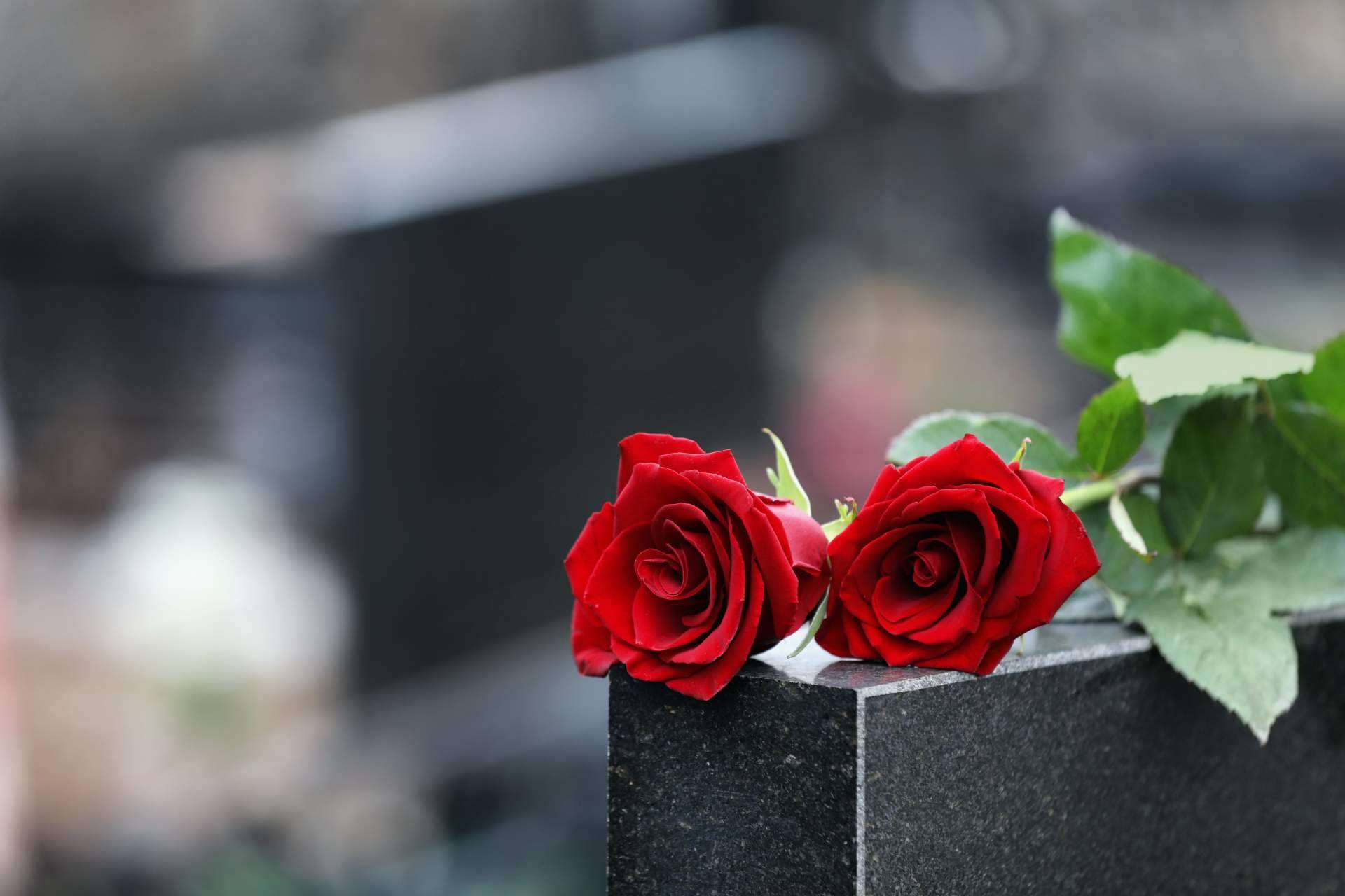 ¿Cuál es el buscador de tanatorios y funerarias?, por el portal web Tanatorio en Pamplona