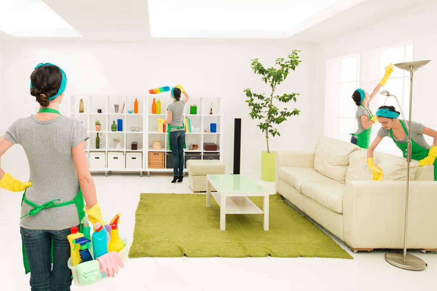 ANFE Servicios ofrece servicio de limpieza y jardinería