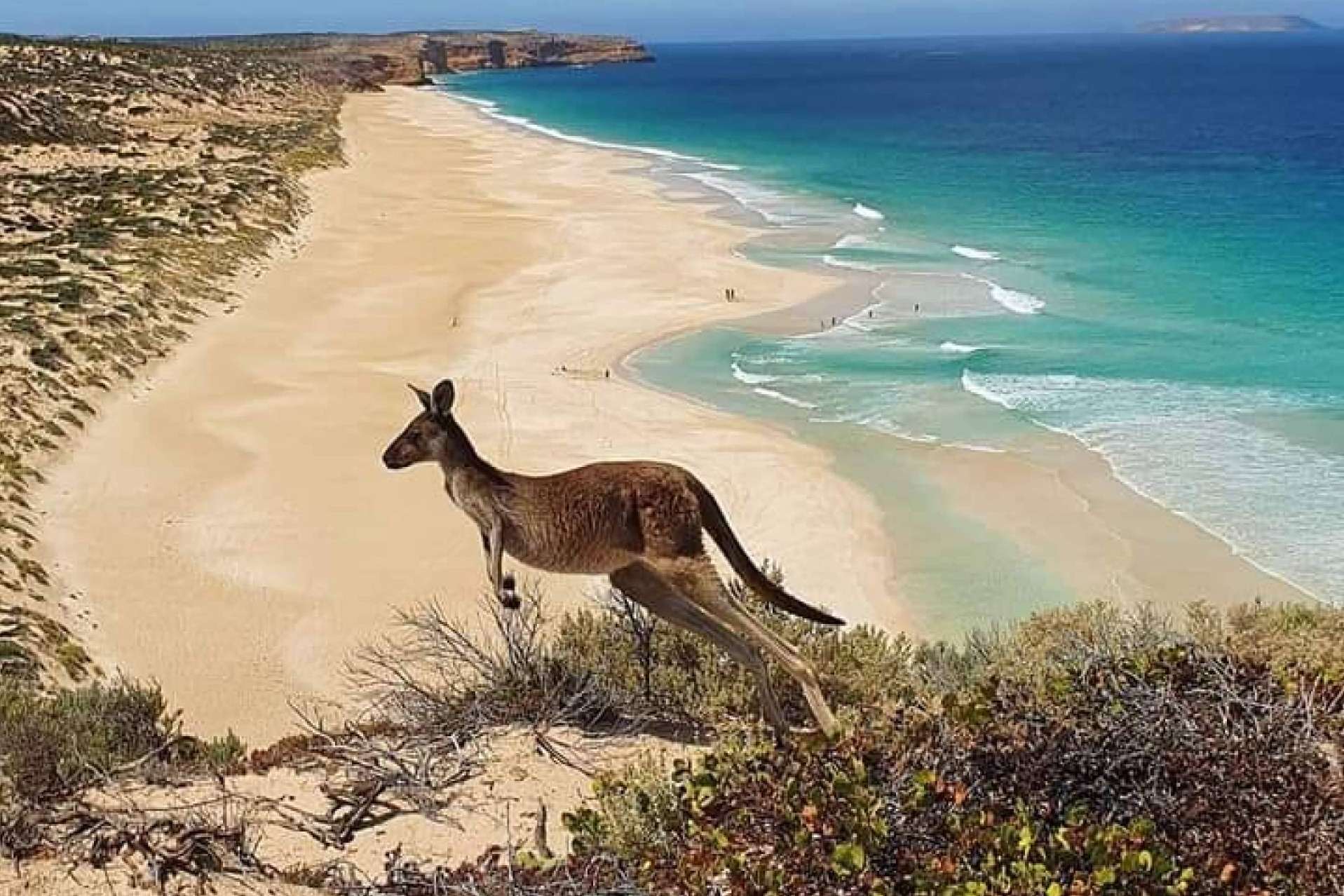 Todo lo necesario para estudiar en Australia