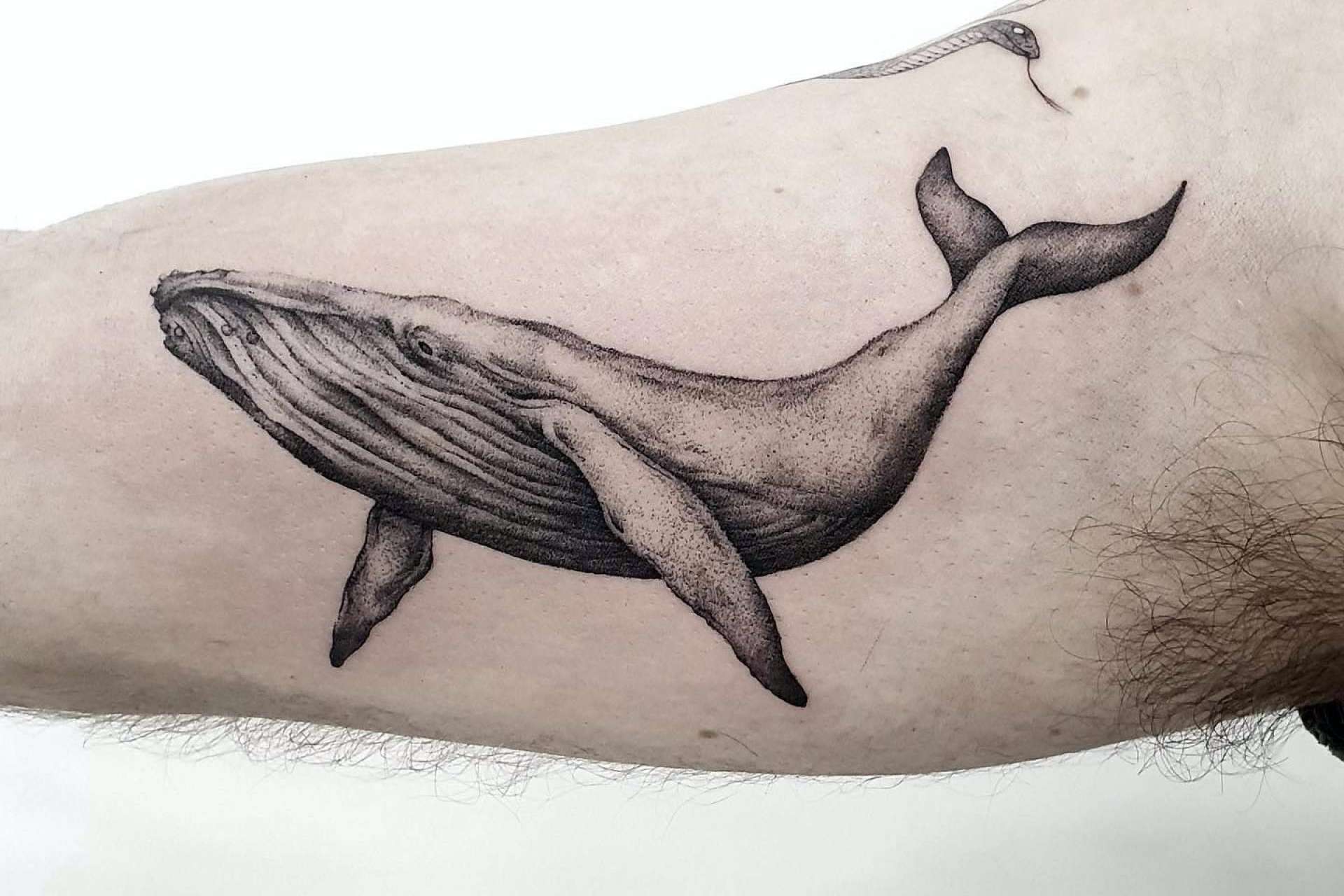 Los consejos de Vieja Escuela Tattoo para cuidar durante el verano de un tatuaje recién hecho