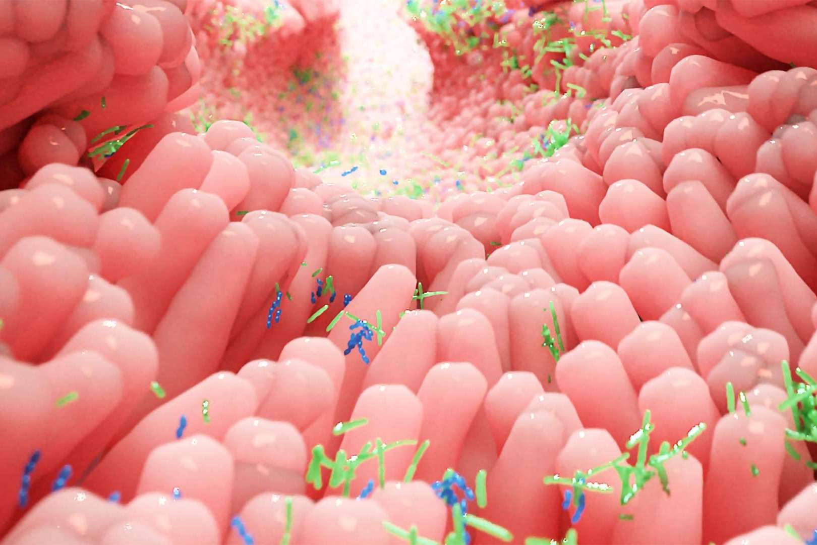 Tratamiento de candidiasis. El Dr. Fernando Ruger Viarengo relata el por qué de la pandemia actual, prevención y pautas generales de tratamiento