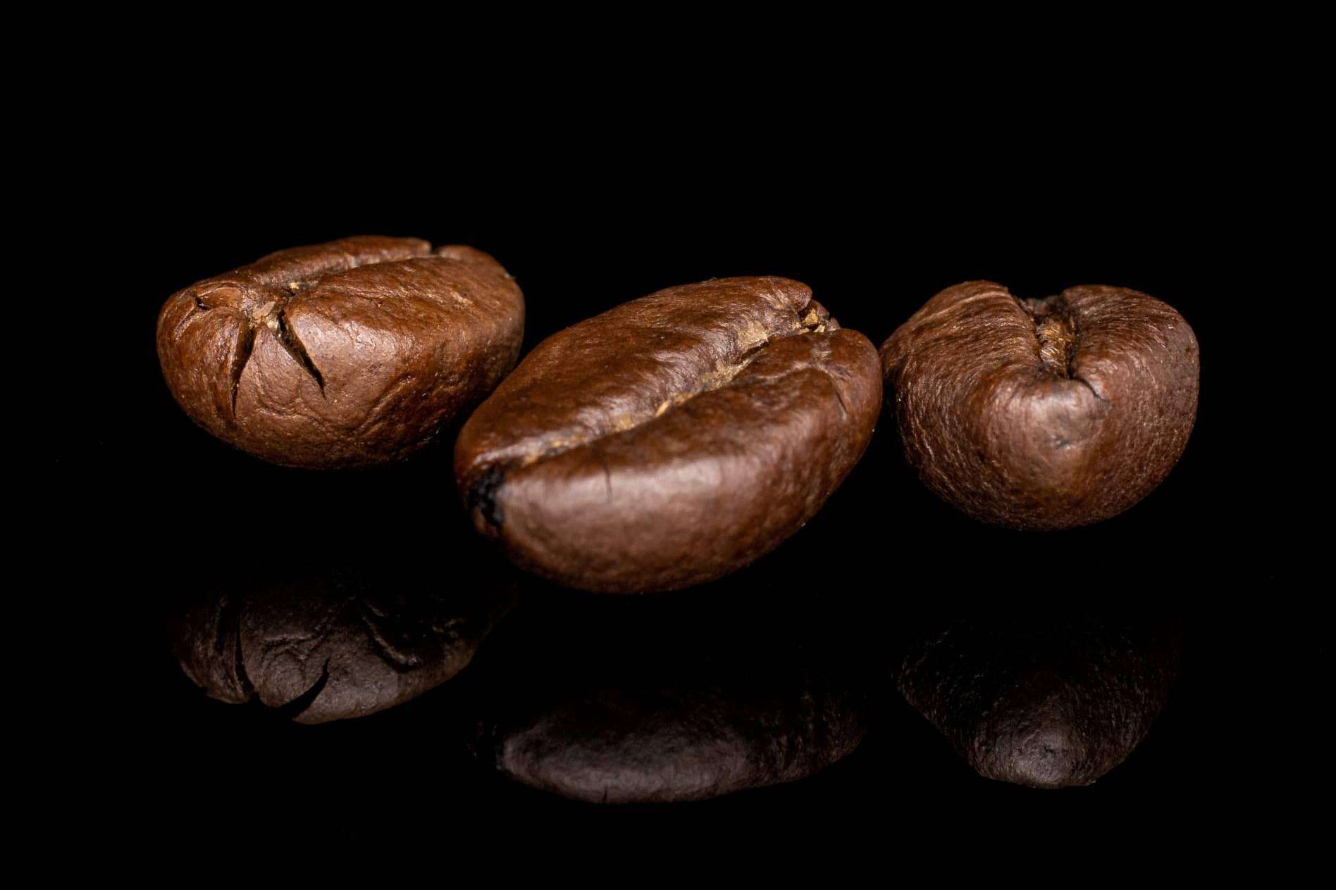Orisens ofrece Xtrong, un nuevo café ecológico de alta intensidad