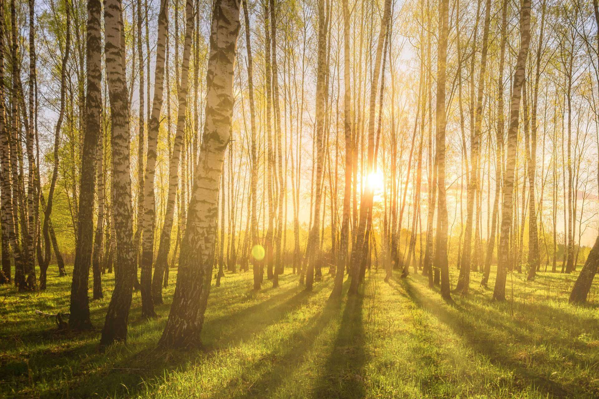 Combatir el greenwashing de la mano de DoGood