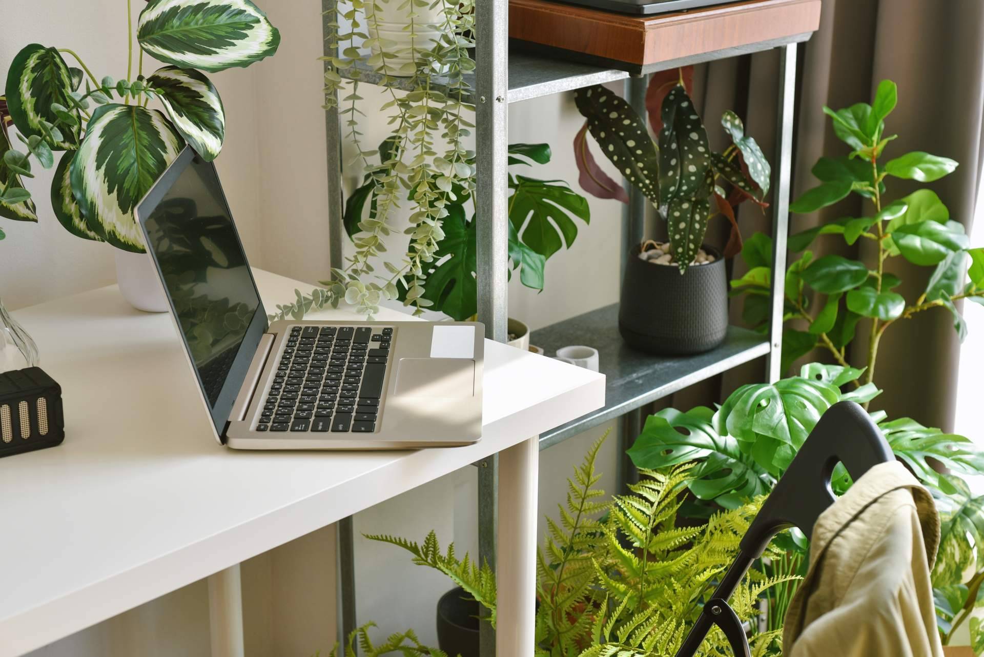 Consejos para combinar plantas artificiales para dar un toque especial a cualquier espacio