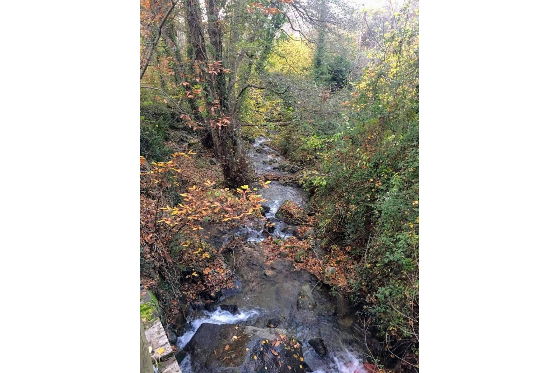 Vive Baños de Montemayor y celebrar el Otoño Mágico