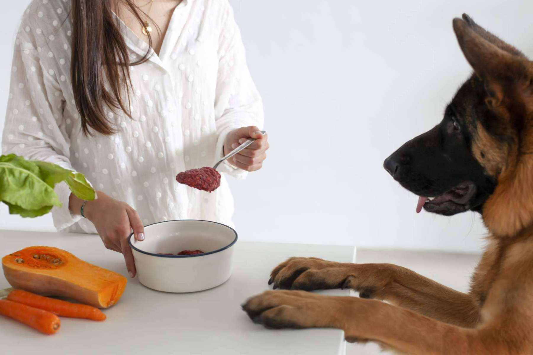 Wild Balance apuesta por la alimentación natural para mascotas y aterriza en Dubái