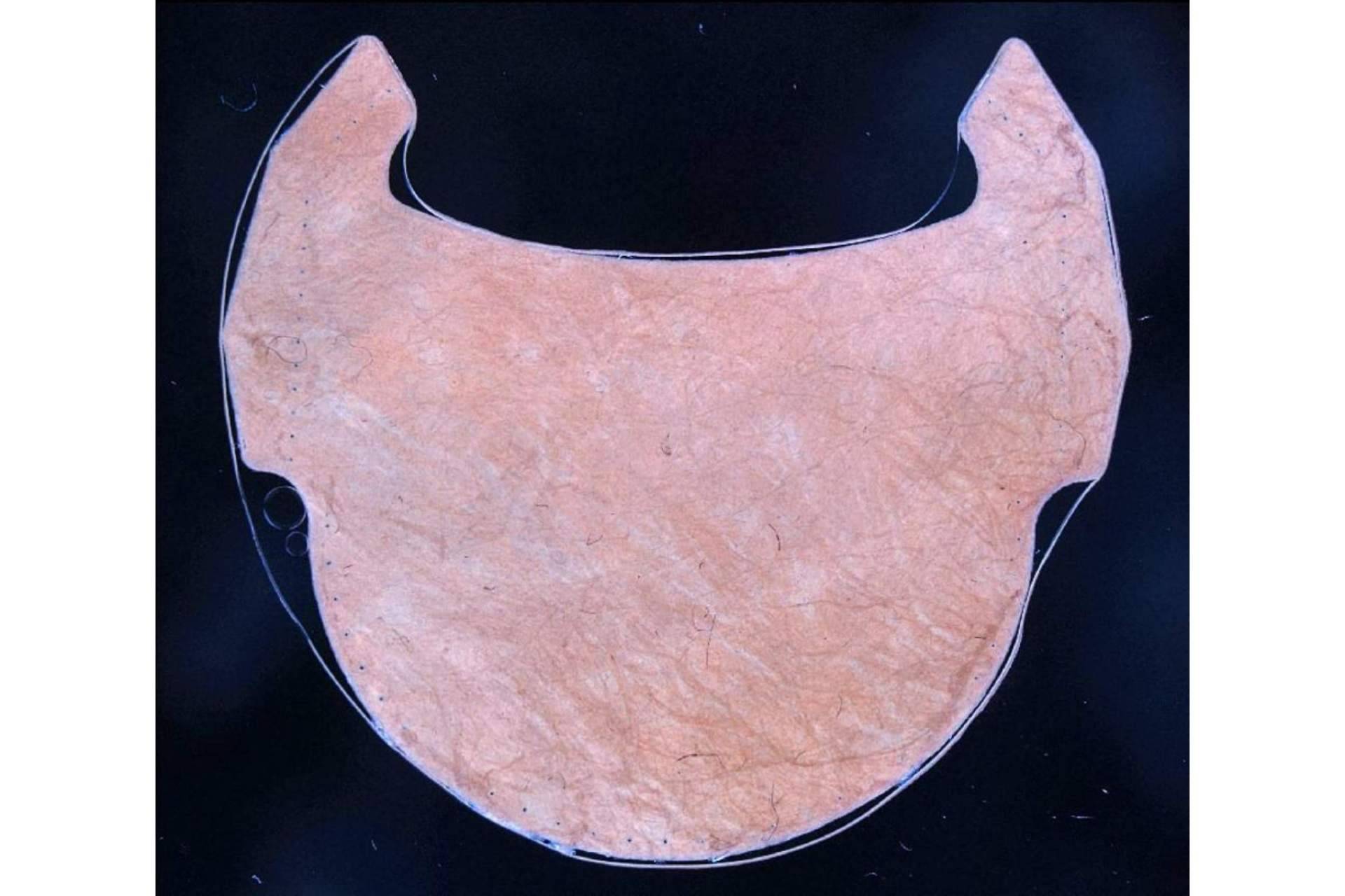 Las válvulas coronarias fabricadas con tejido de corazón animal serán mucho más eficaces y duraderas