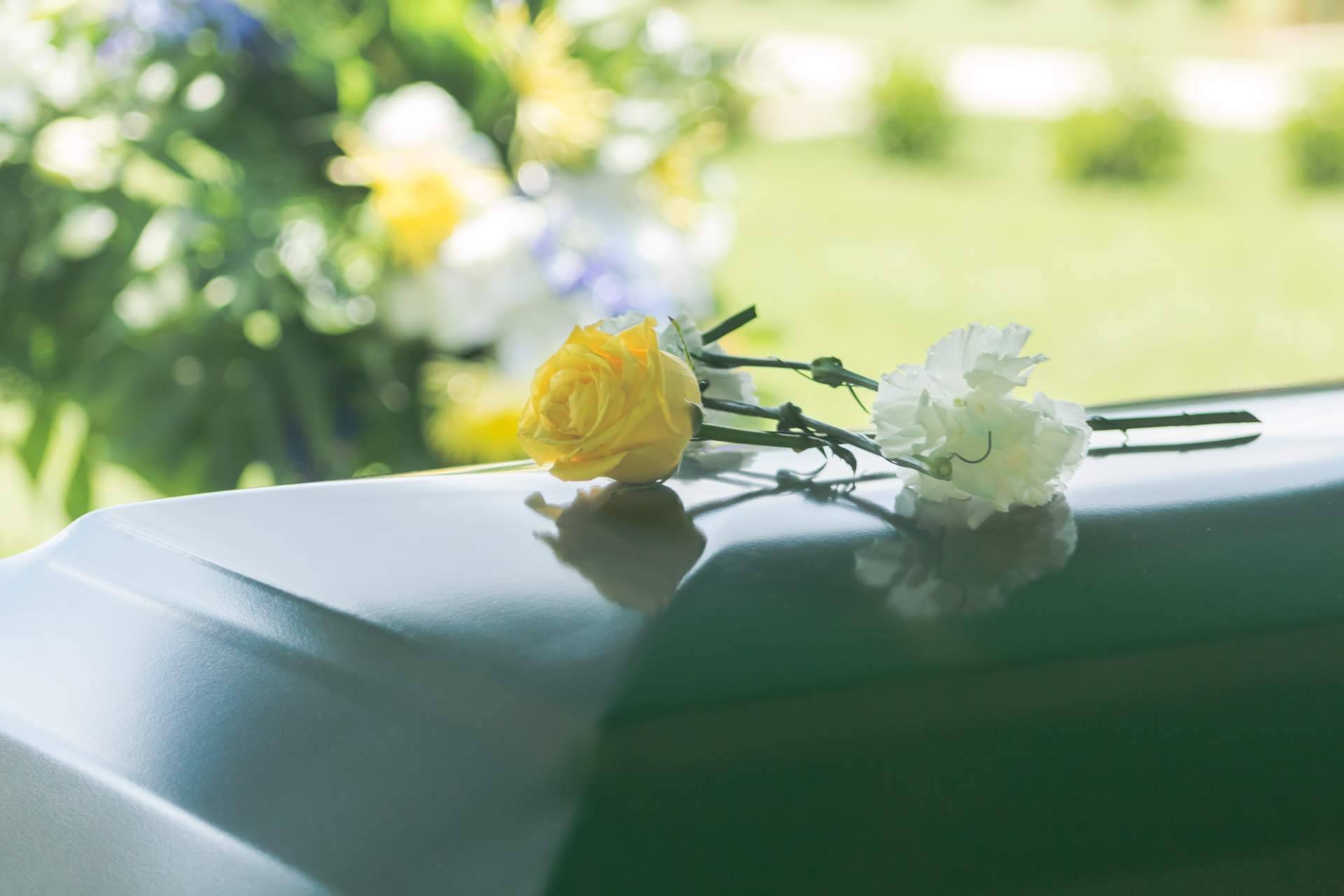 Así es como se están adaptando las empresas, la sostenibilidad llega al sector funerario