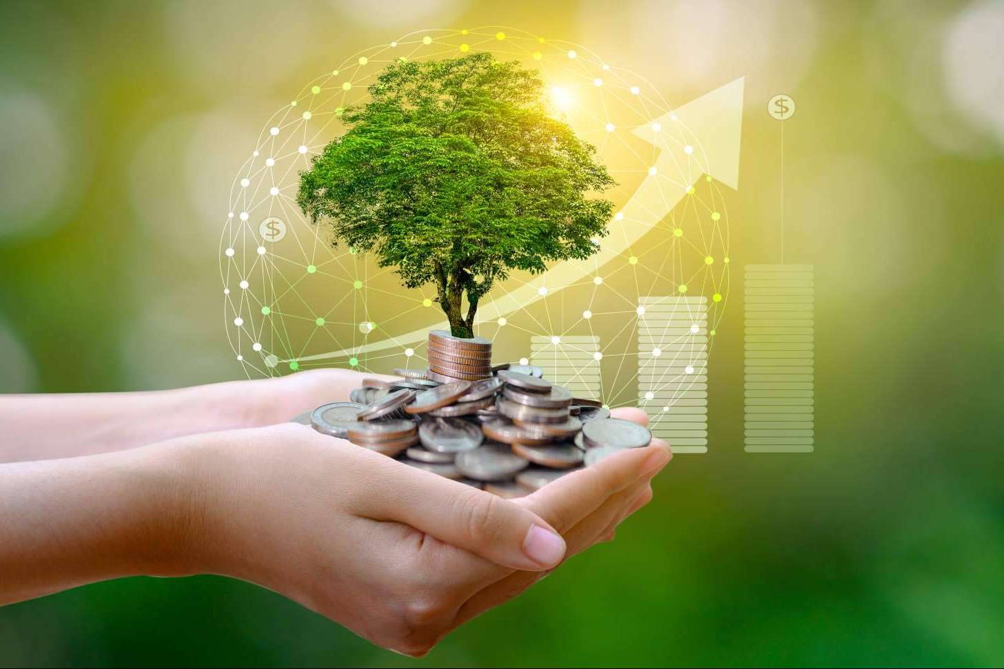 Las empresas que apuestan por la Green Transition y la economía sostenible cuentan con el apoyo de Earthster
