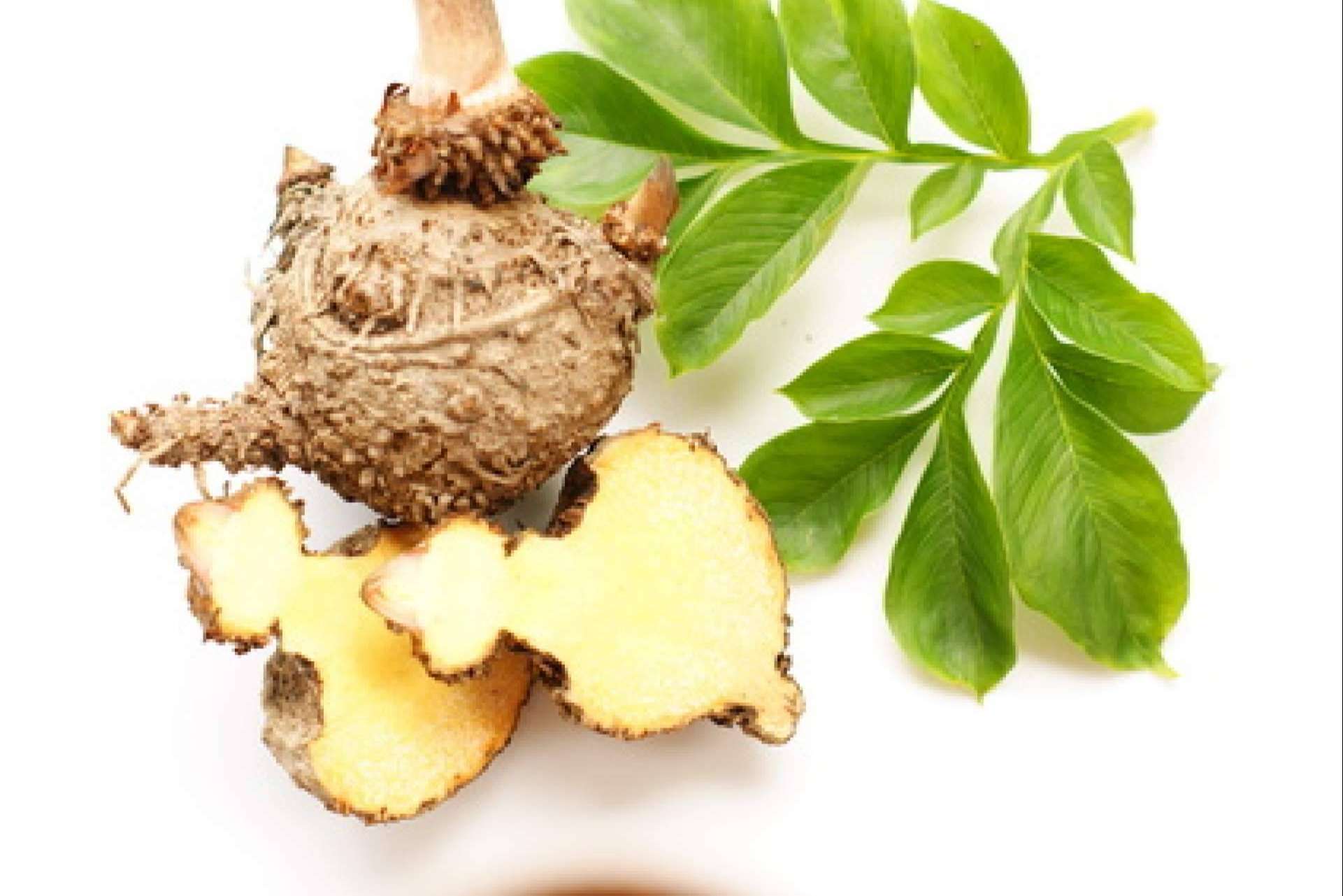 Los beneficios de la pasta de konjac, de la mano de The Konjac Shop