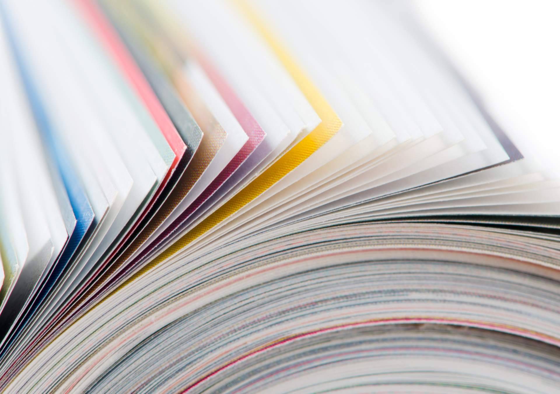 El éxito de los nuevos lanzamientos de Editorial Pluma publicados en 2022